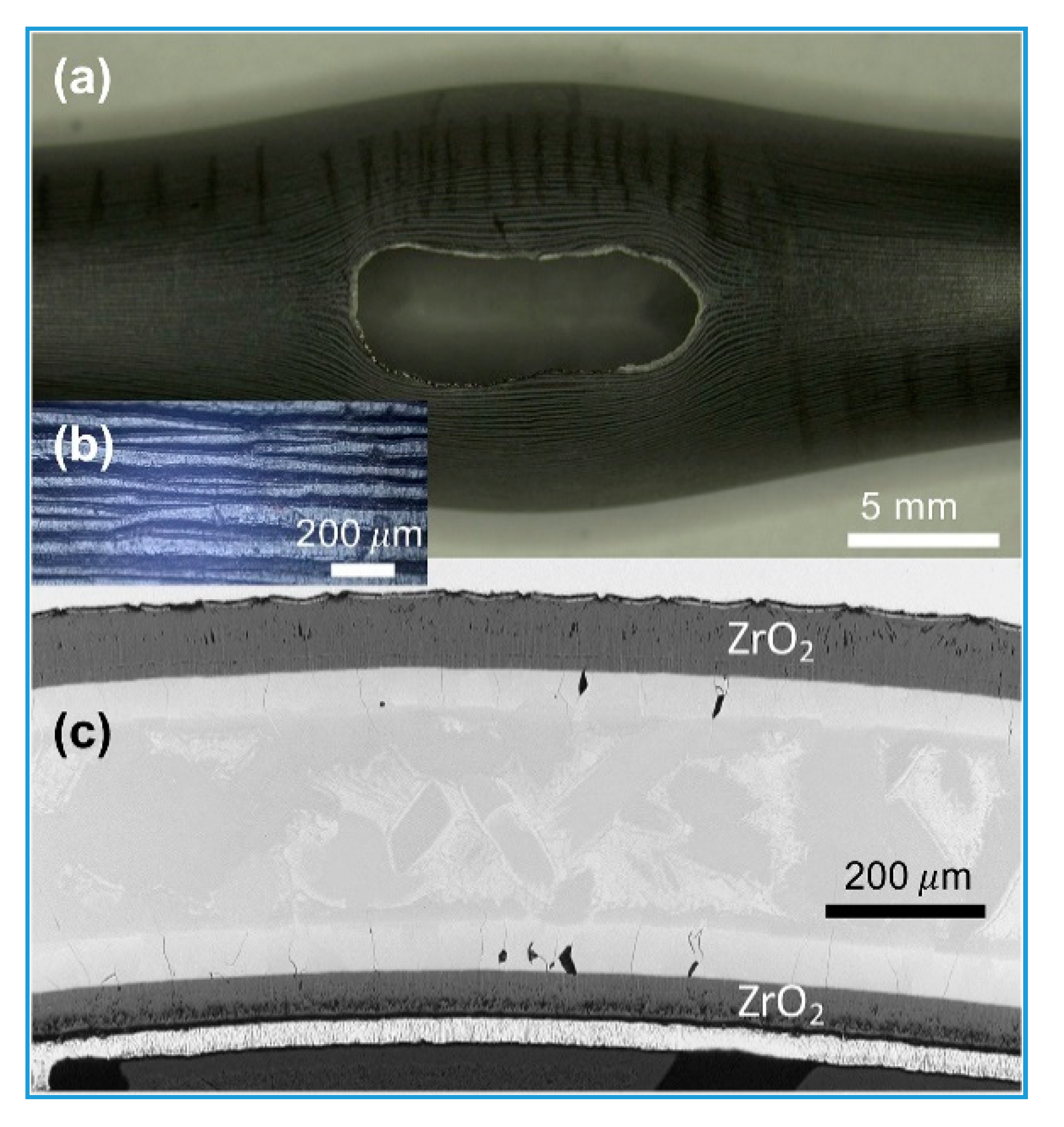 Coatings 10 00808 g004 Coatings 10 00808 g004