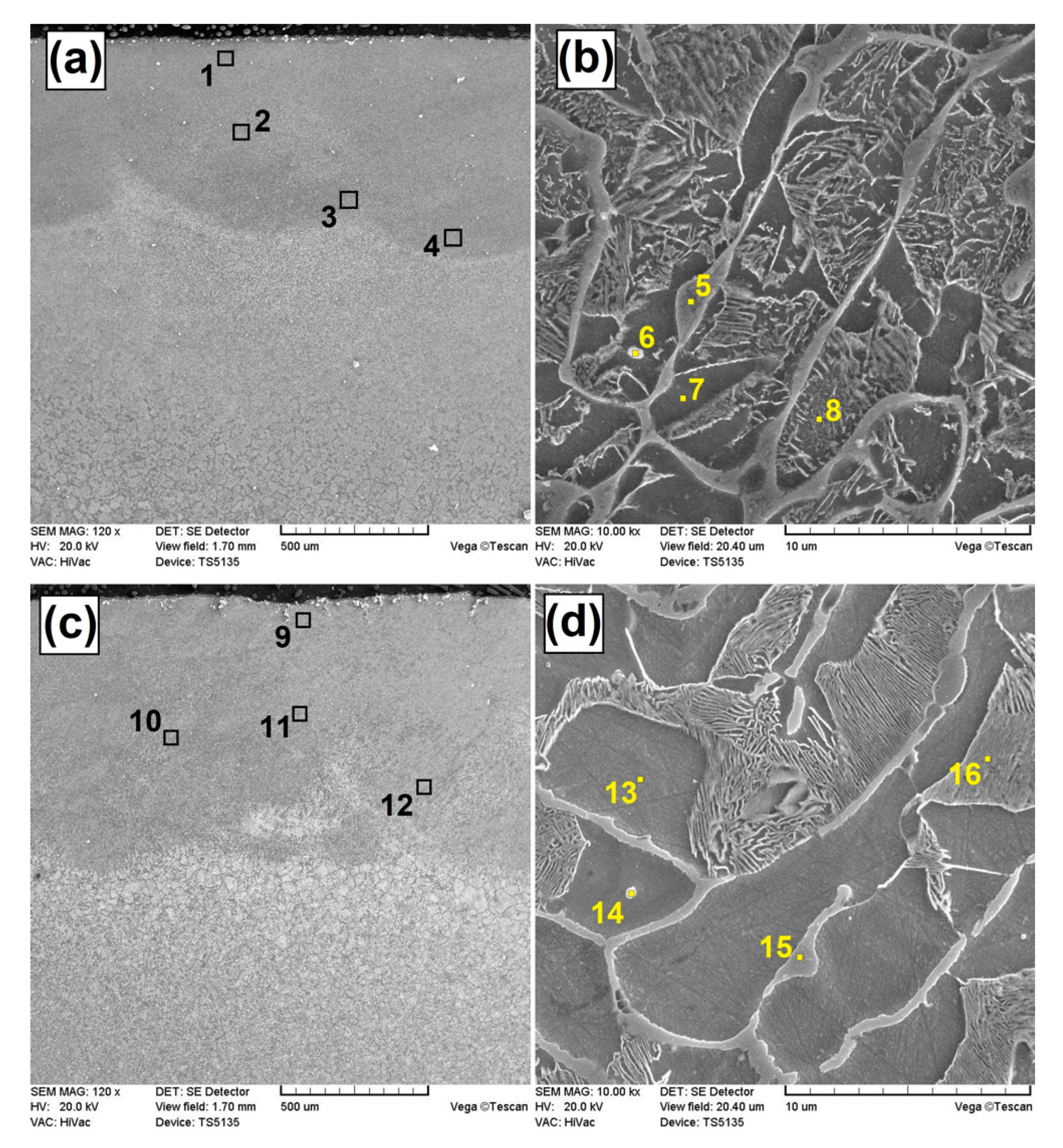 Coatings 10 00809 g004 Coatings 10 00809 g004