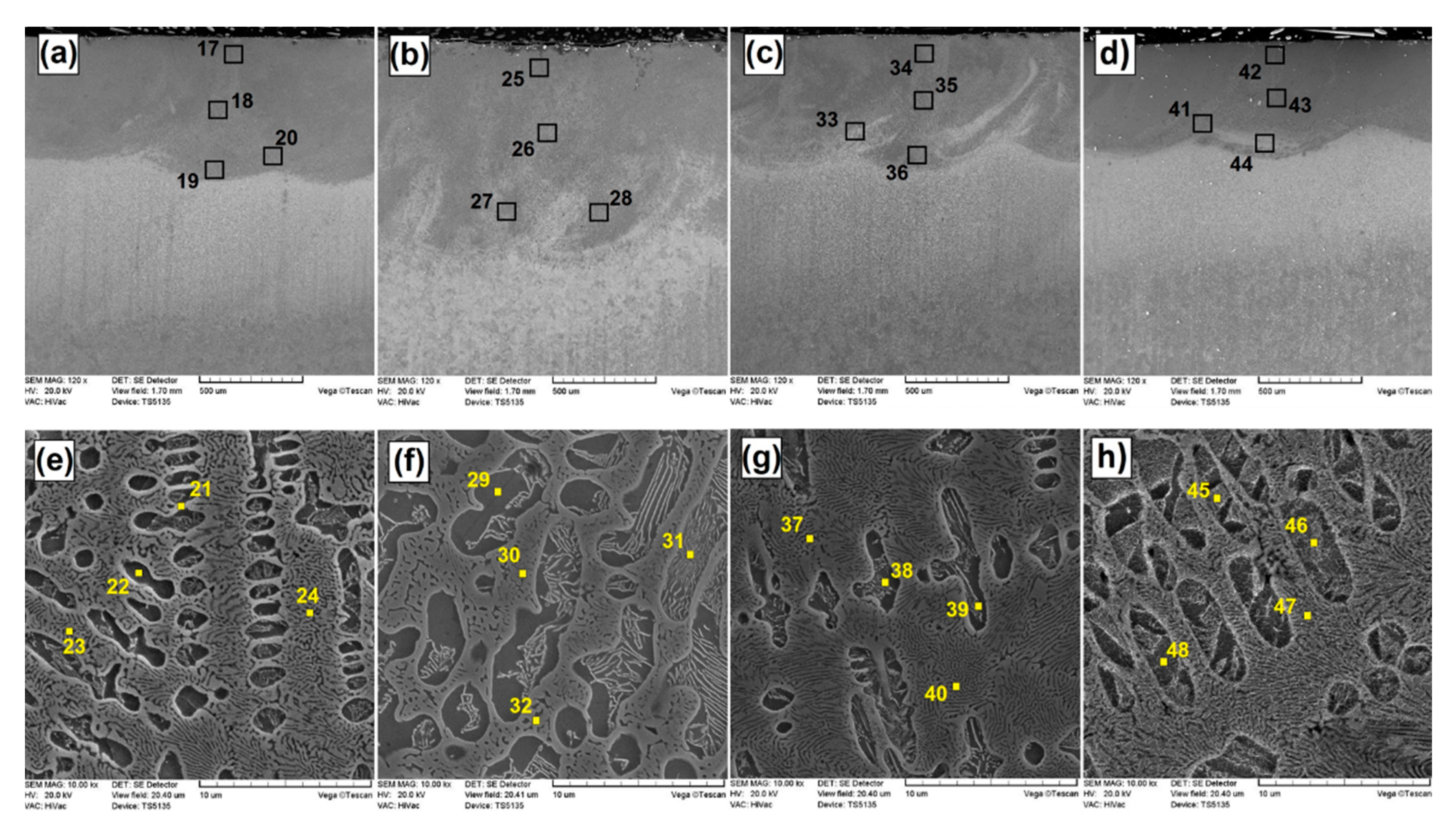 Coatings 10 00809 g005 Coatings 10 00809 g005