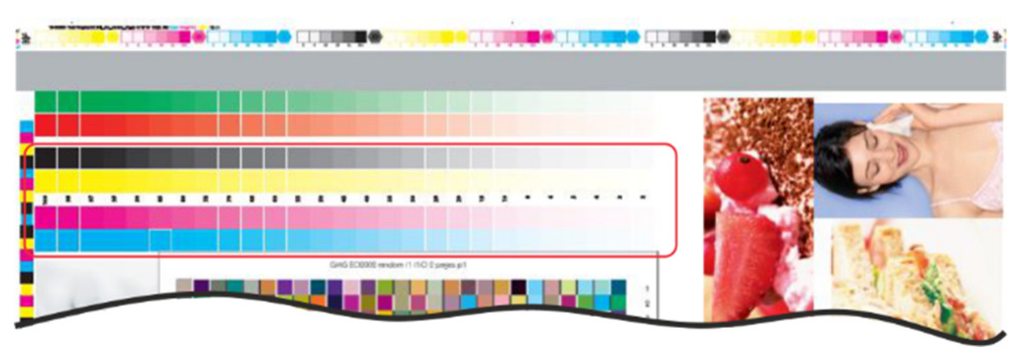Coatings 10 00816 g001 Coatings 10 00816 g001