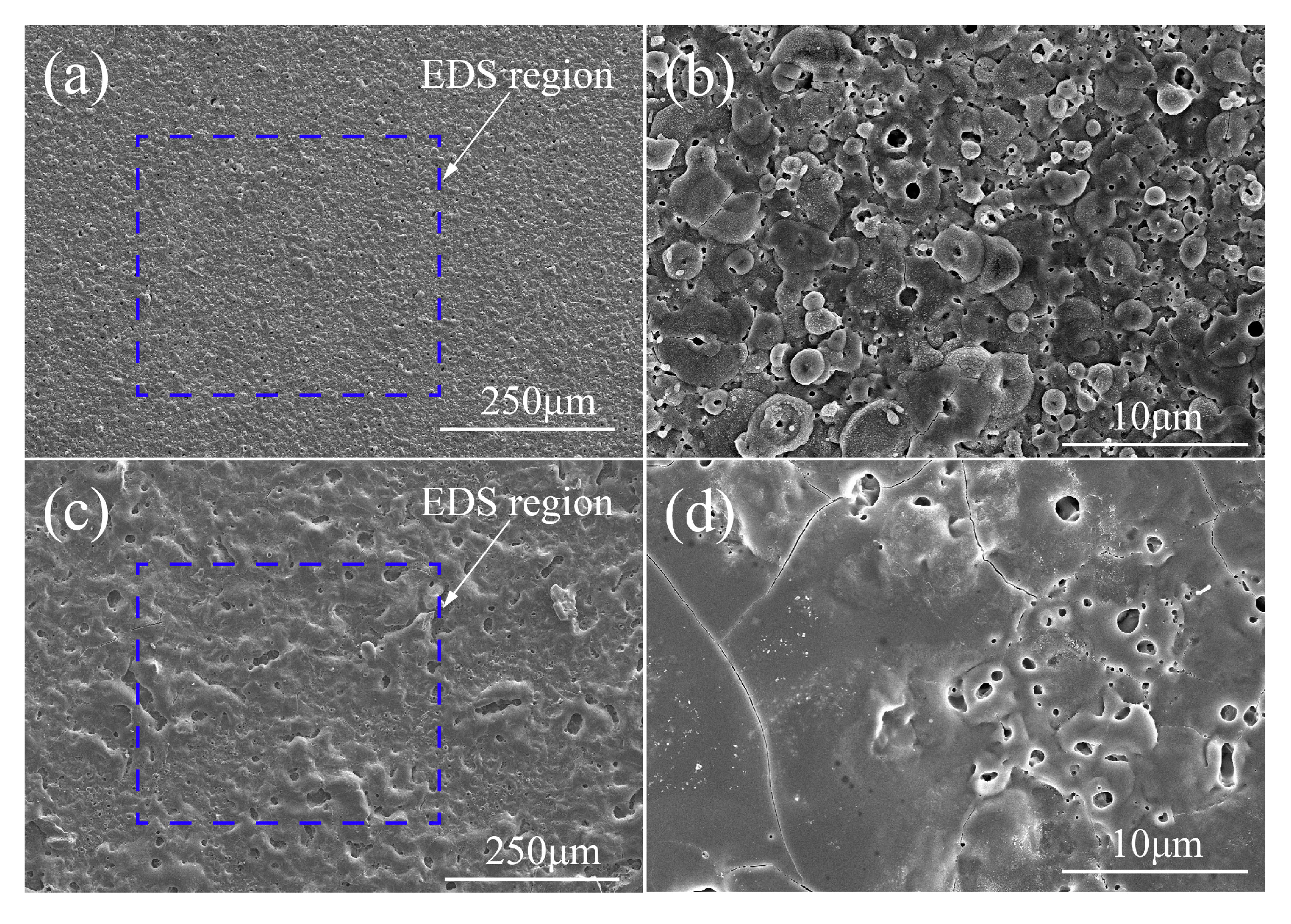 Coatings 10 00817 g002