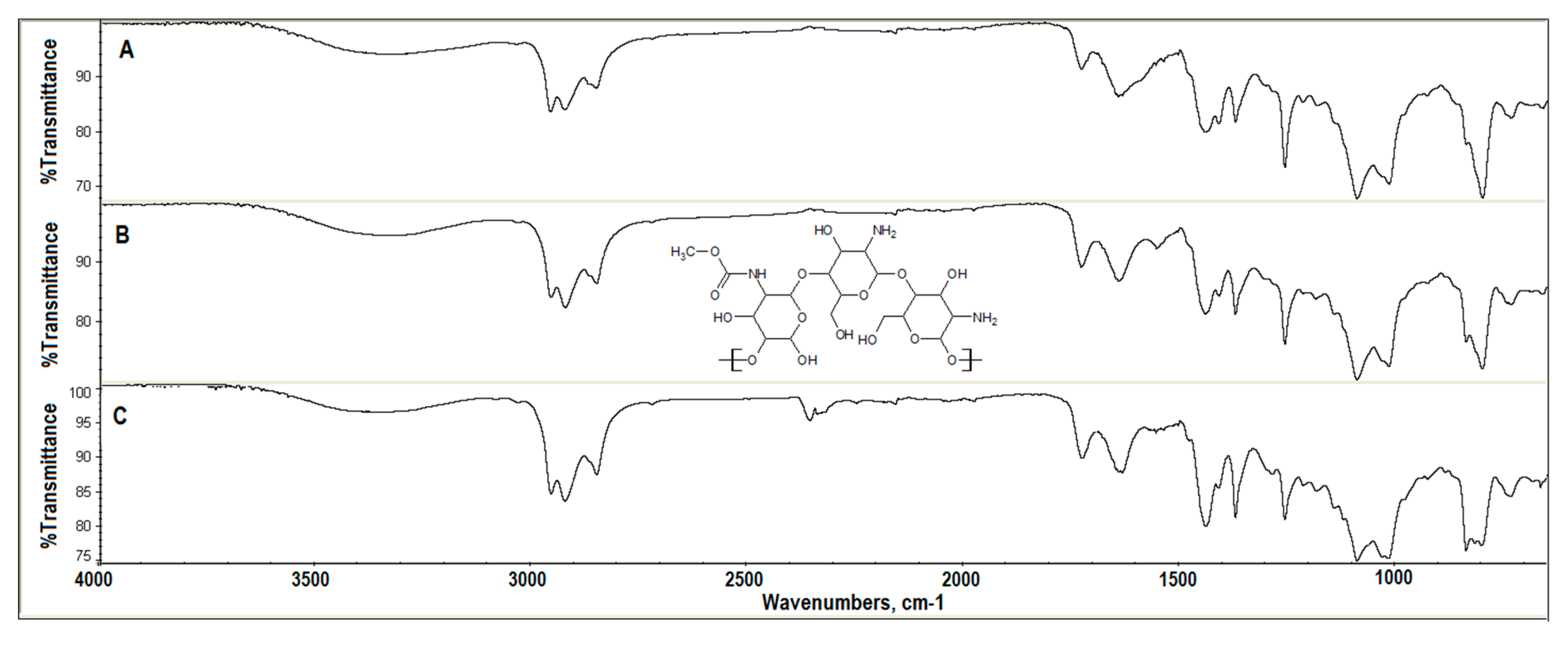 Coatings 10 00818 g001