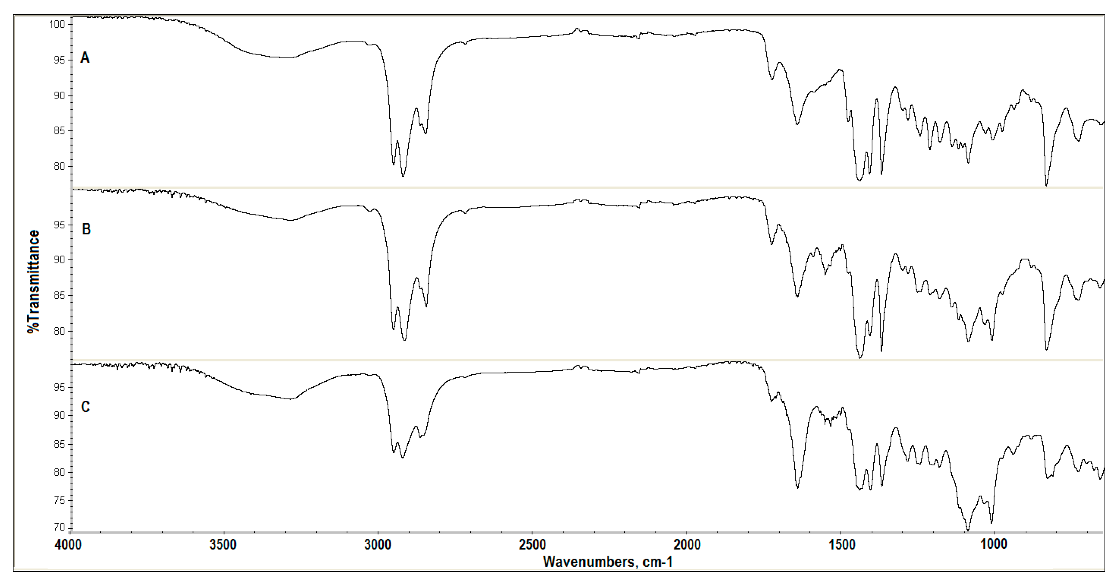 Coatings 10 00818 g002