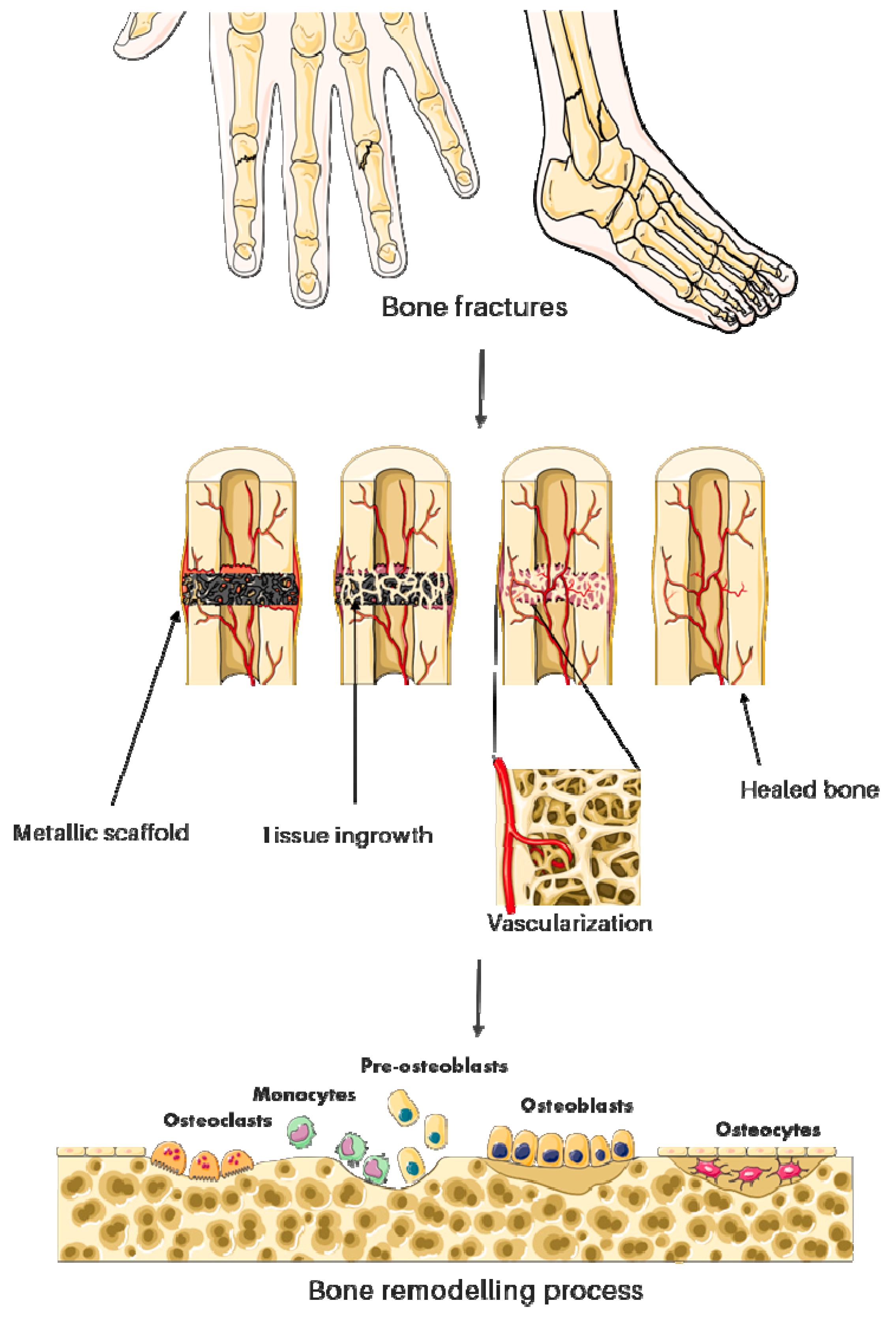 Coatings 10 00819 g001
