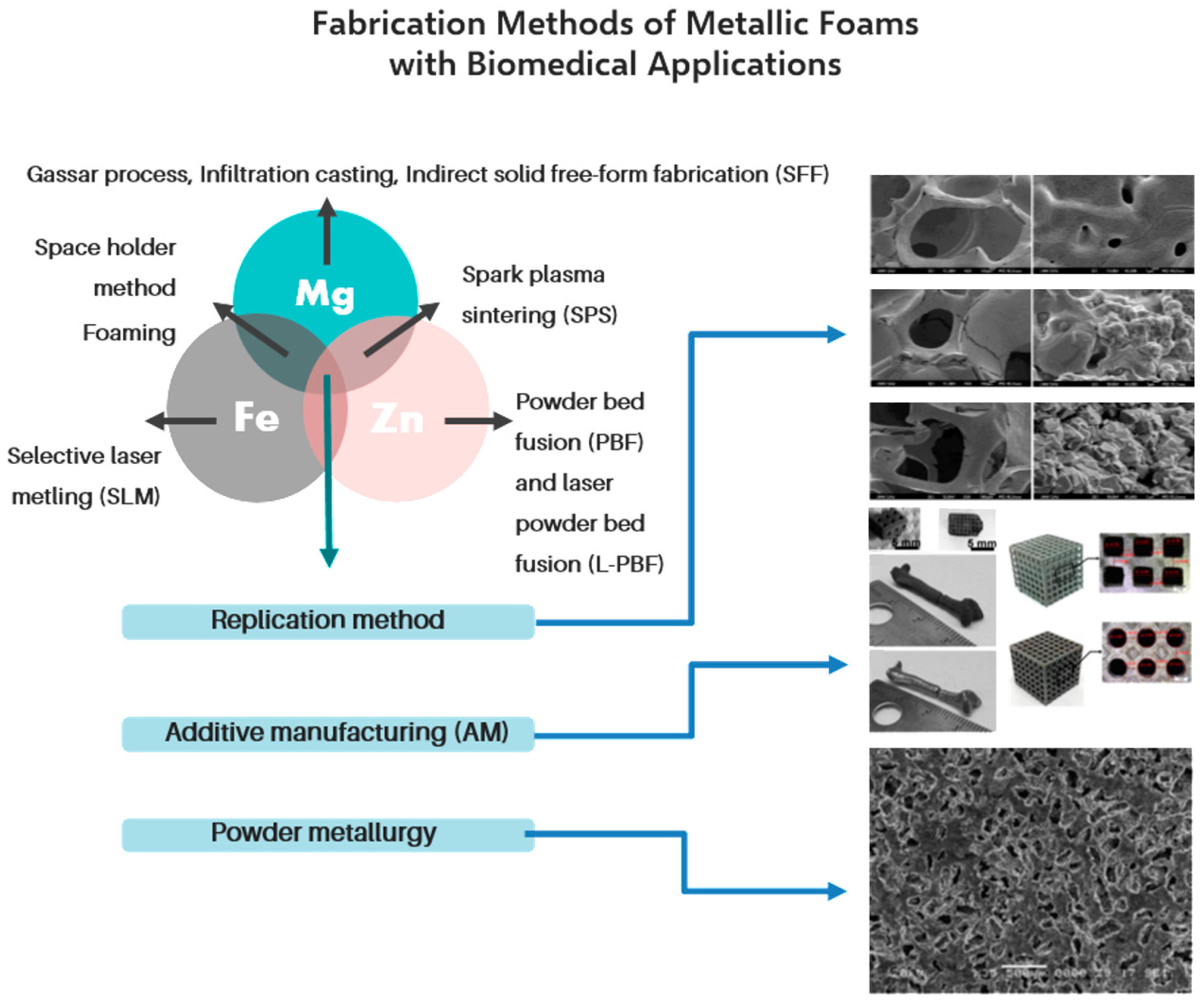 Coatings 10 00819 g002