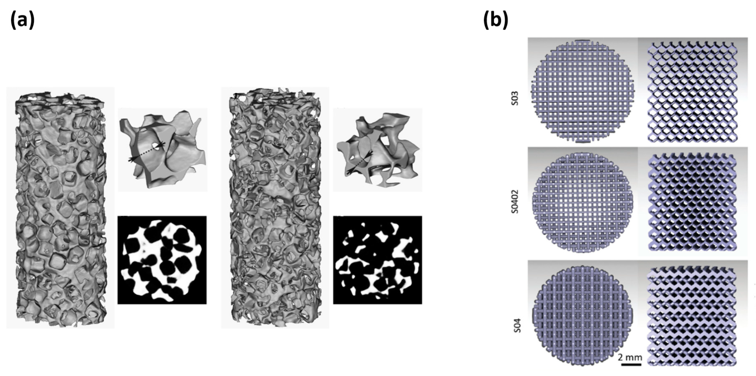 Coatings 10 00819 g007