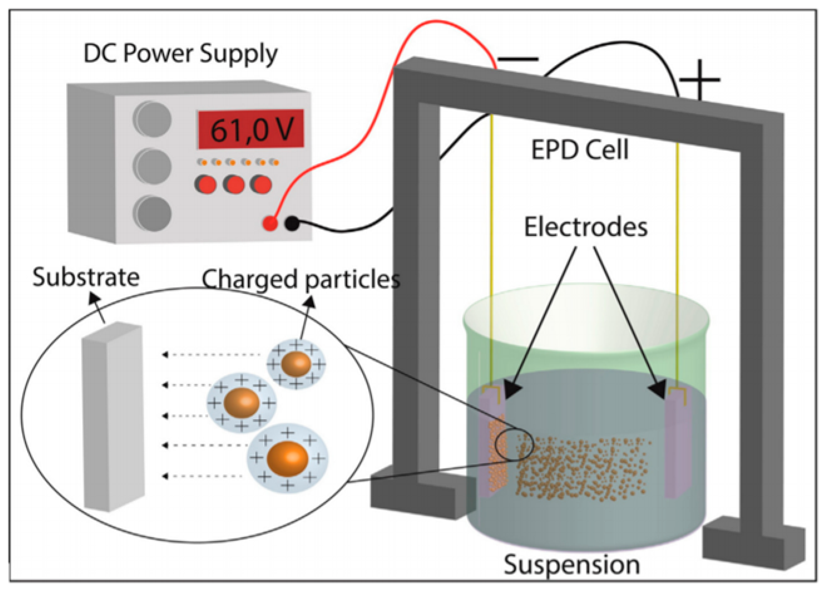 Coatings 10 00819 g008
