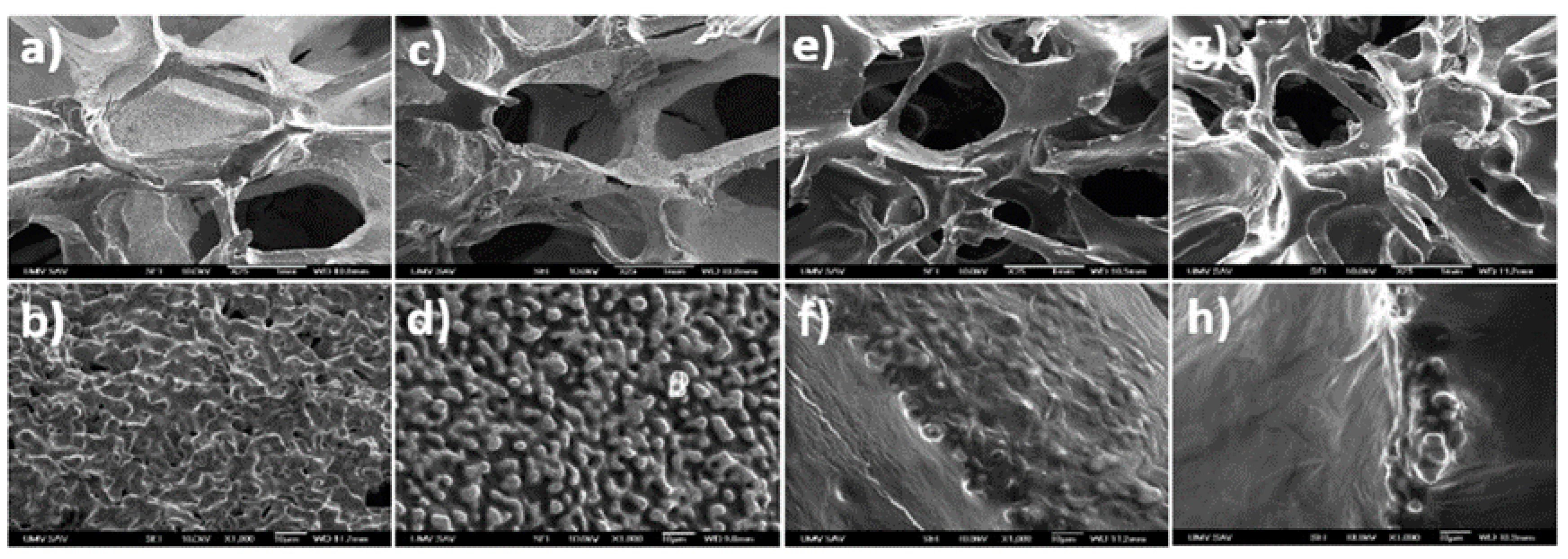 Coatings 10 00819 g011