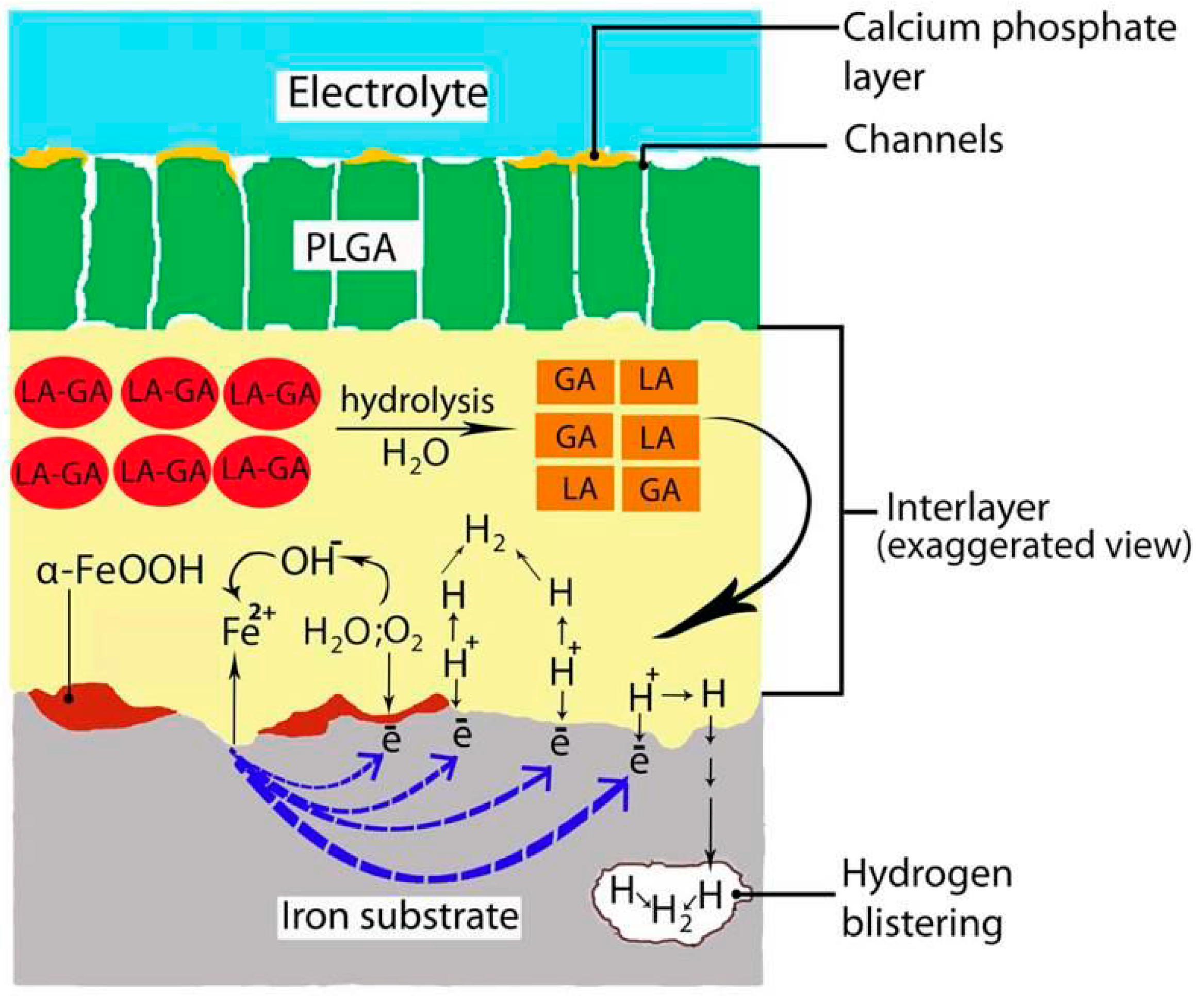 Coatings 10 00819 g014