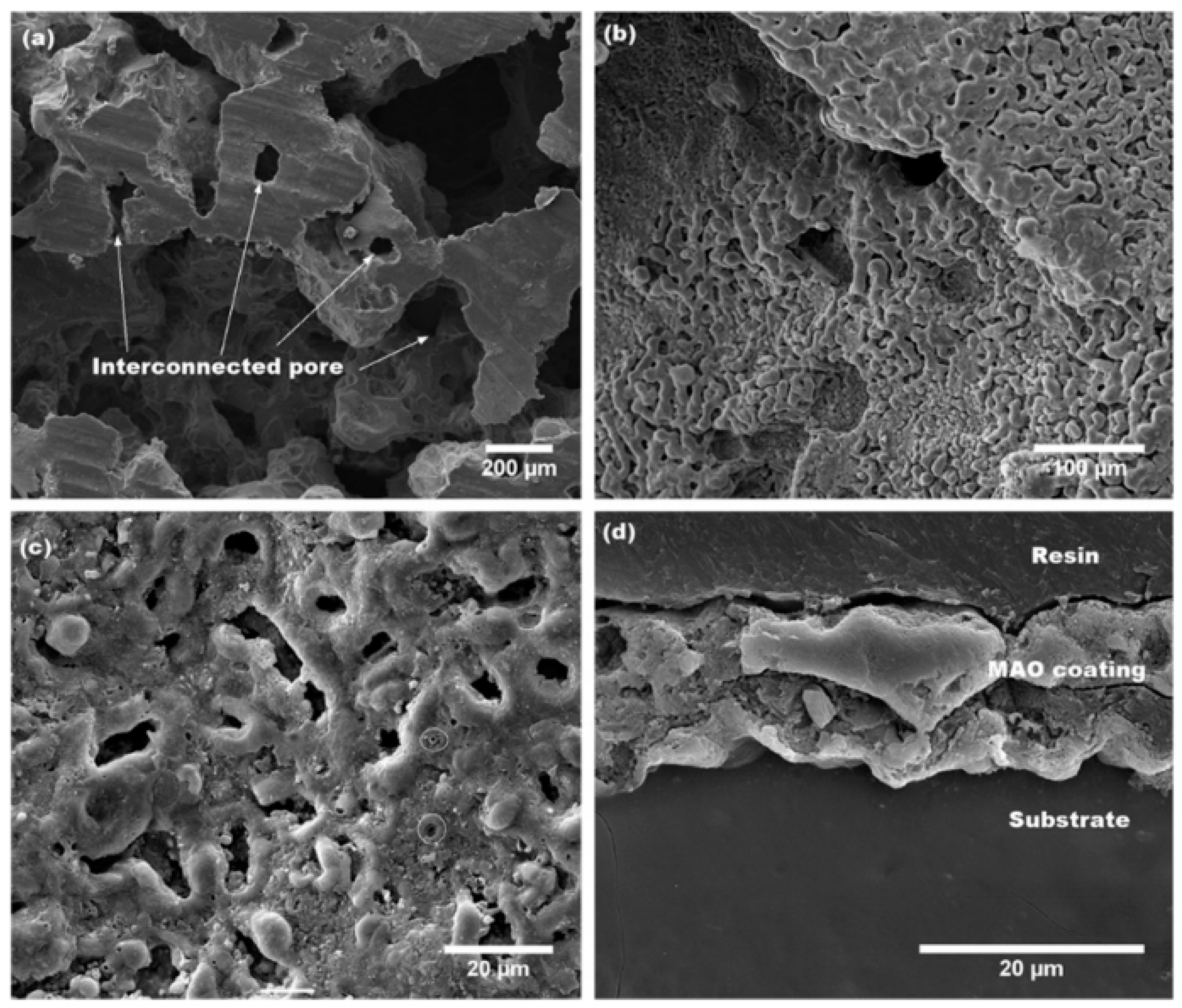 Coatings 10 00819 g015