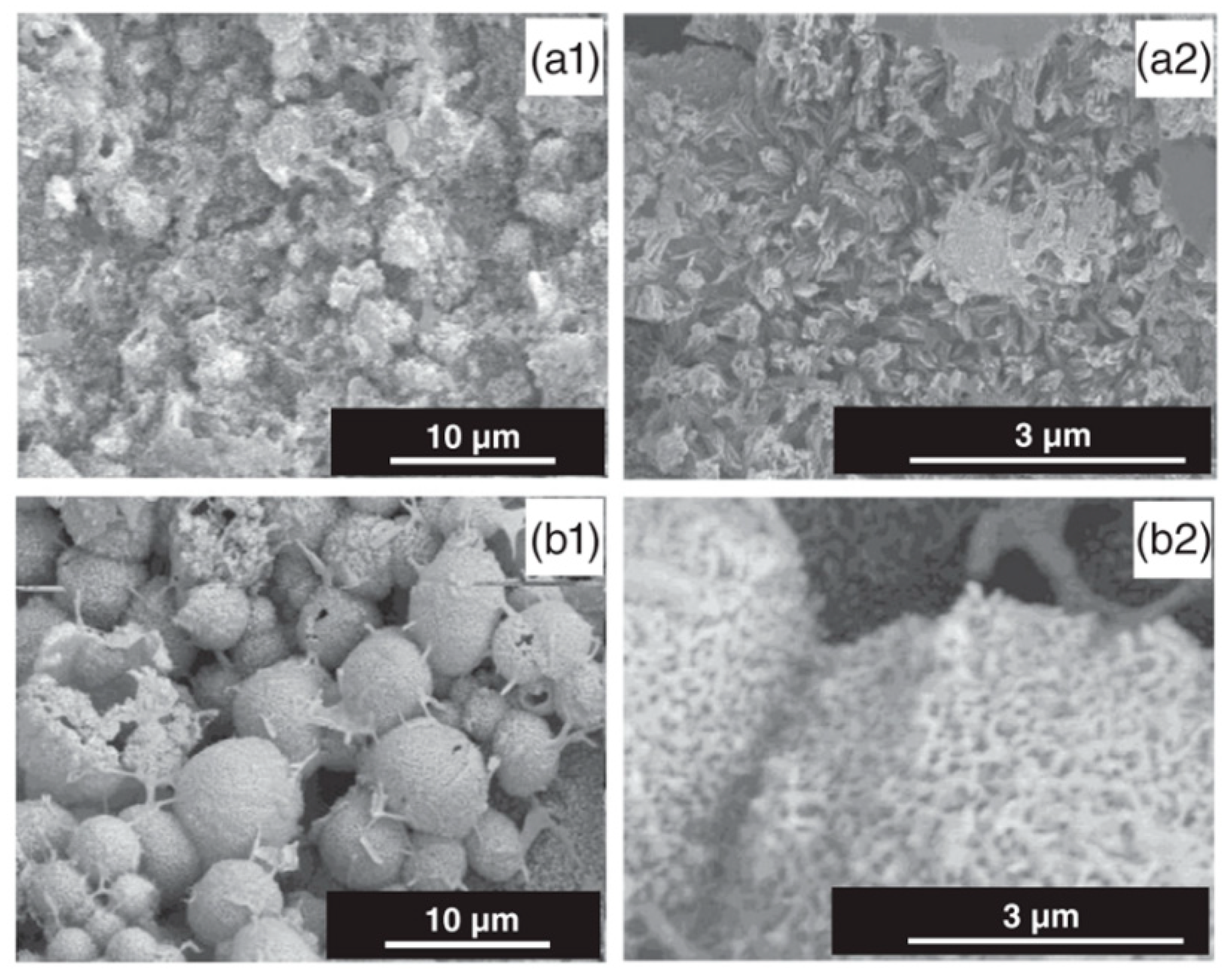 Coatings 10 00819 g016