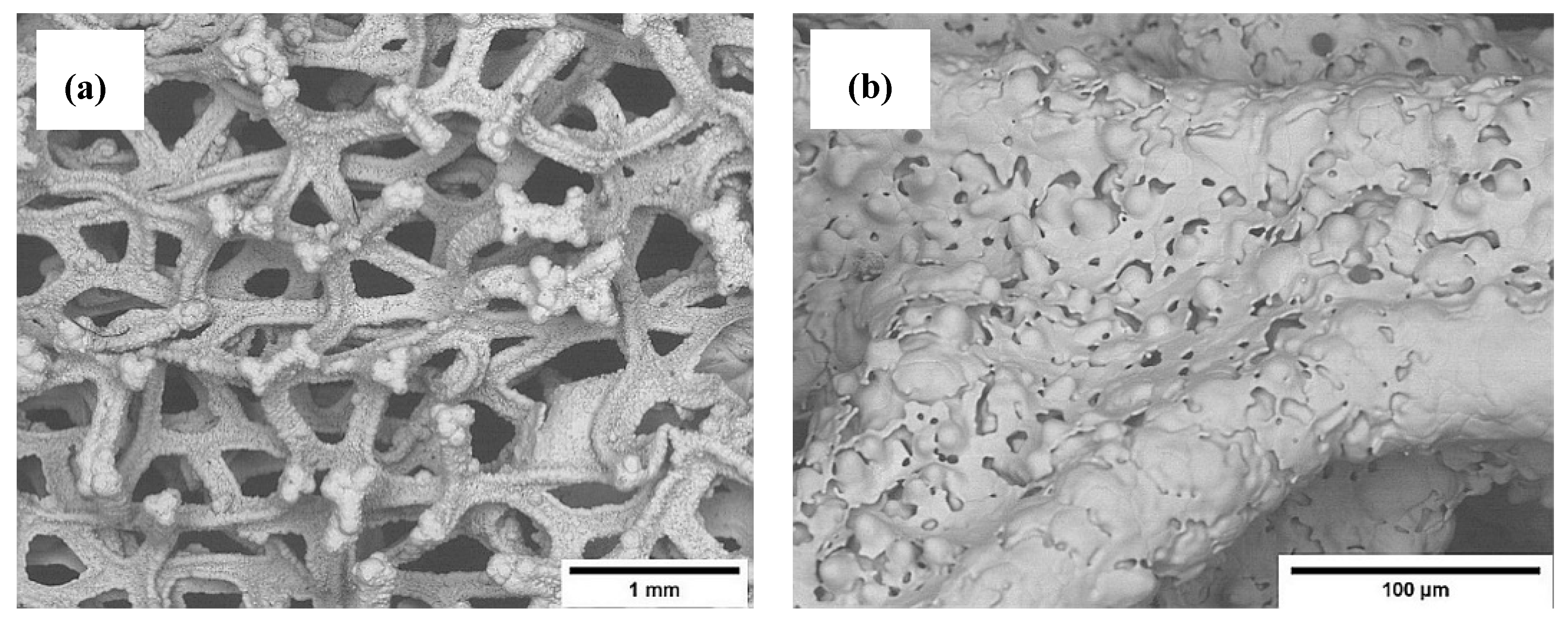 Coatings 10 00822 g001