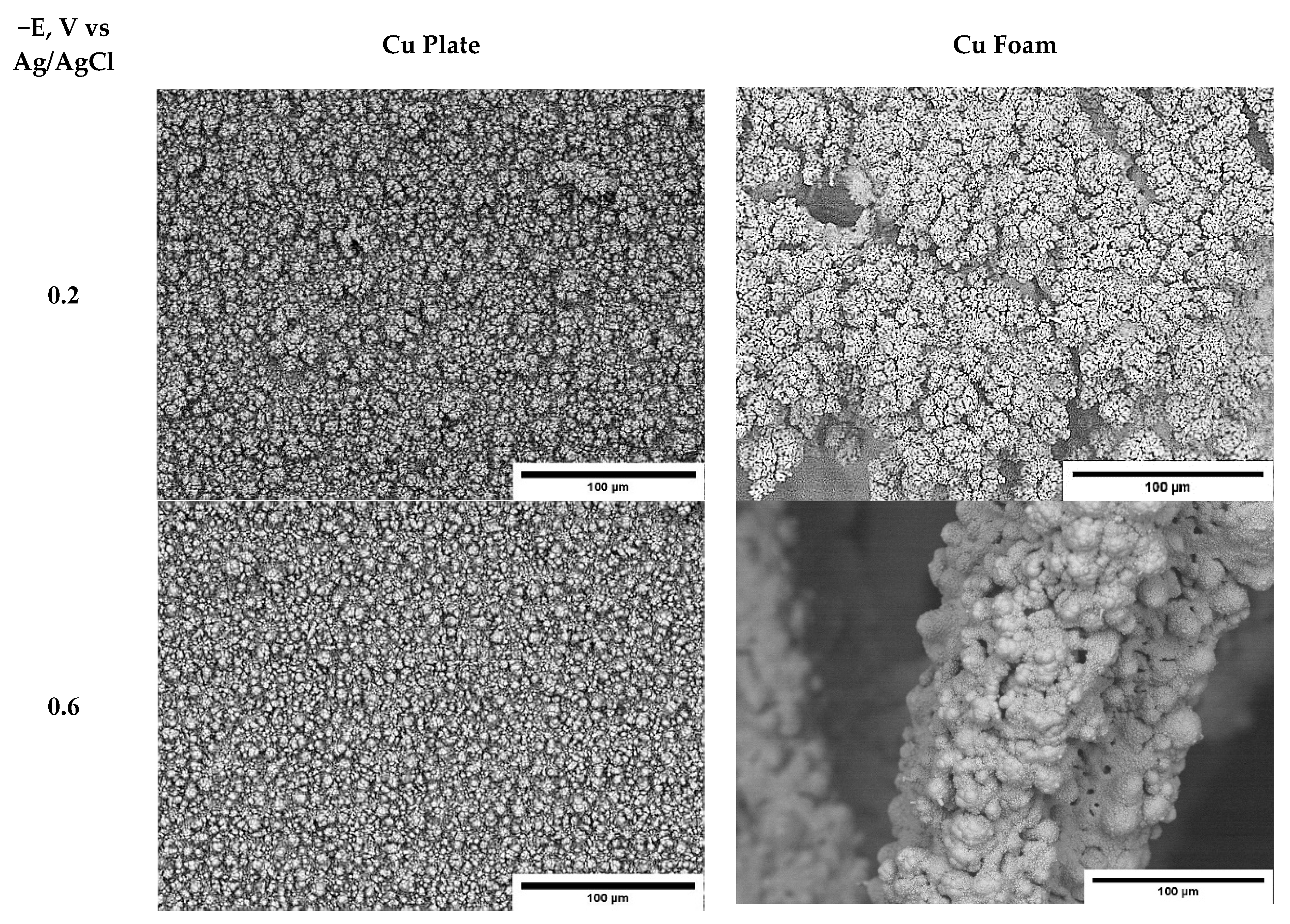 Coatings 10 00822 g003
