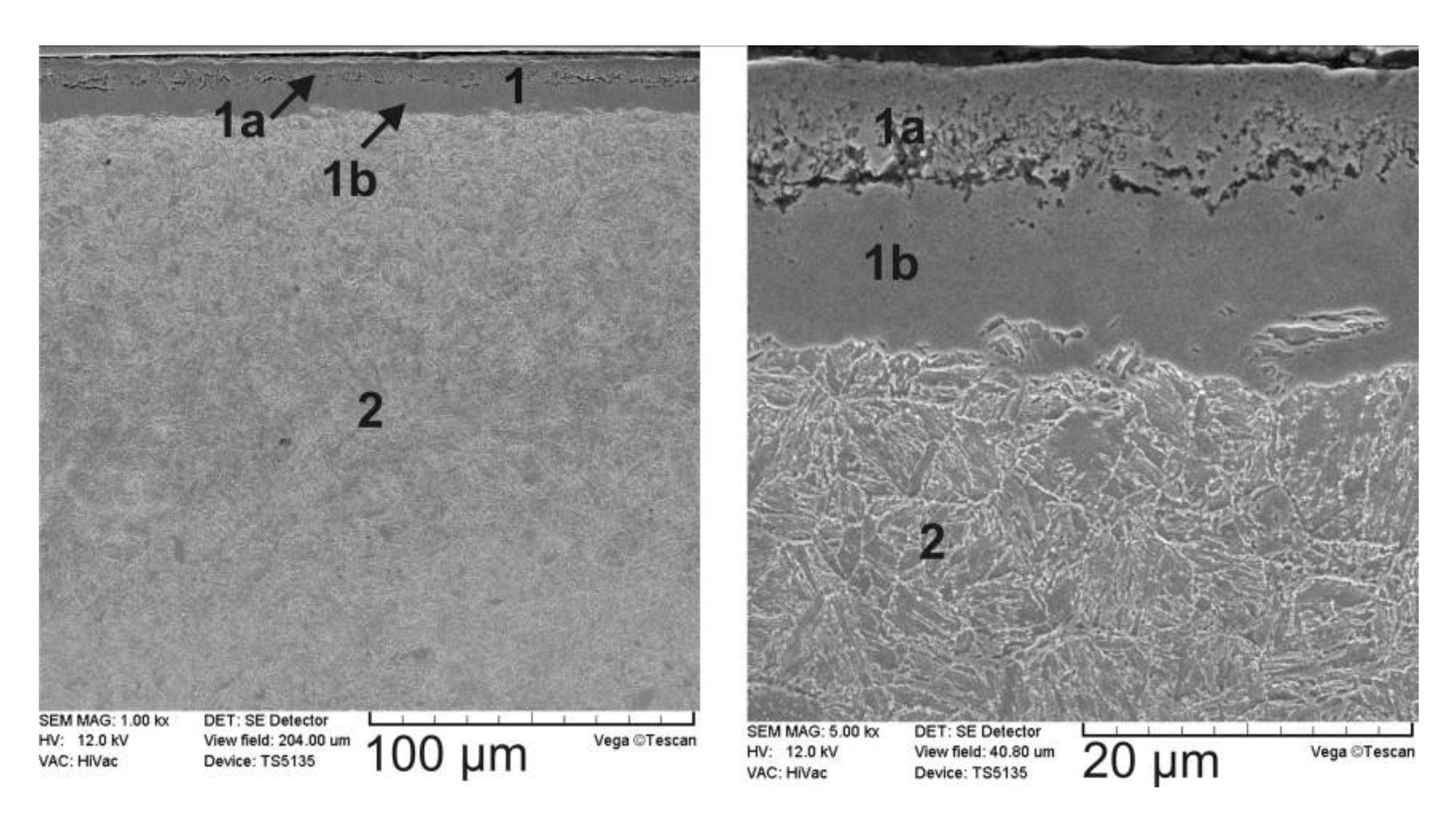 Coatings 10 00824 g002