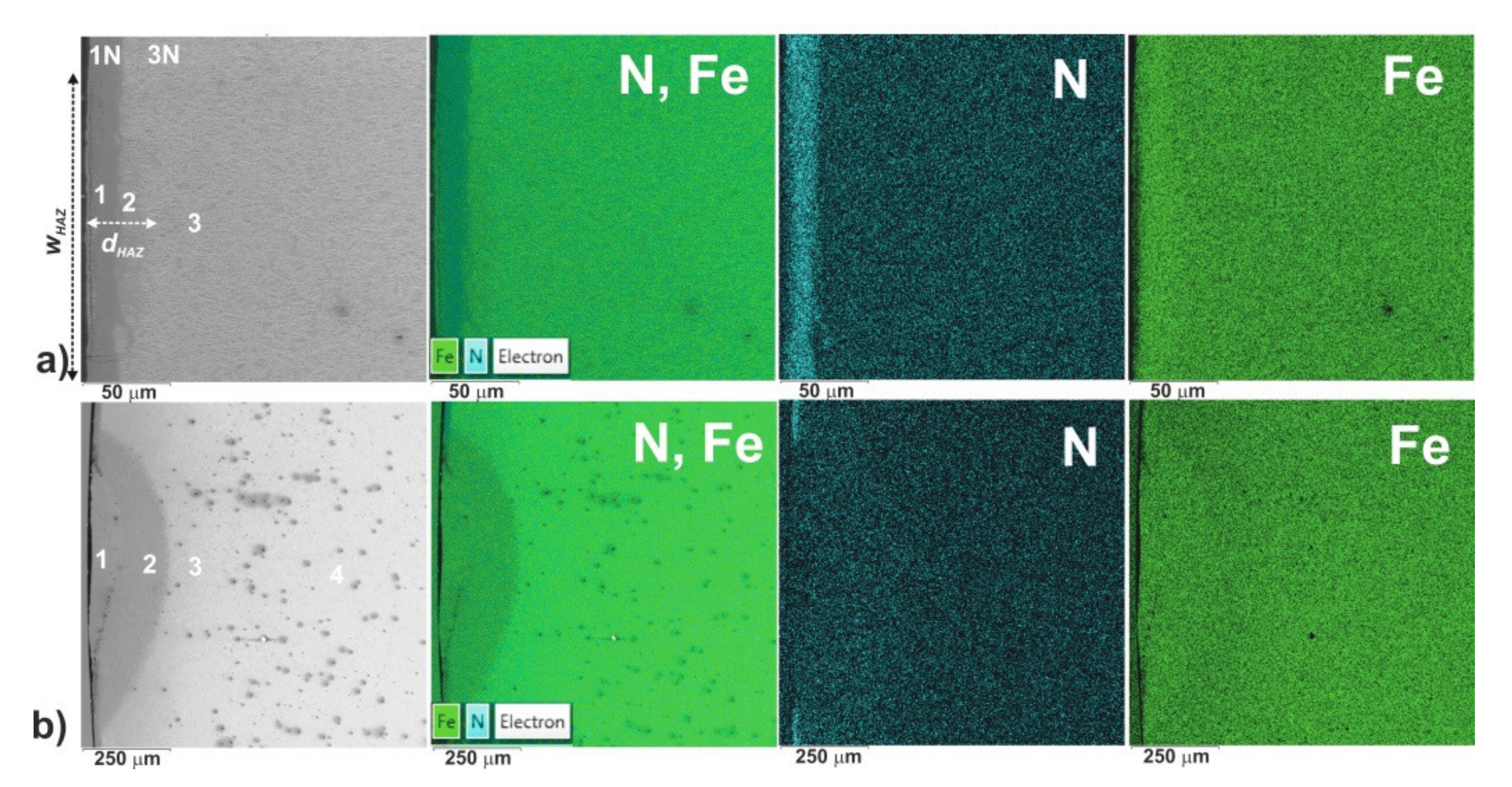 Coatings 10 00824 g004