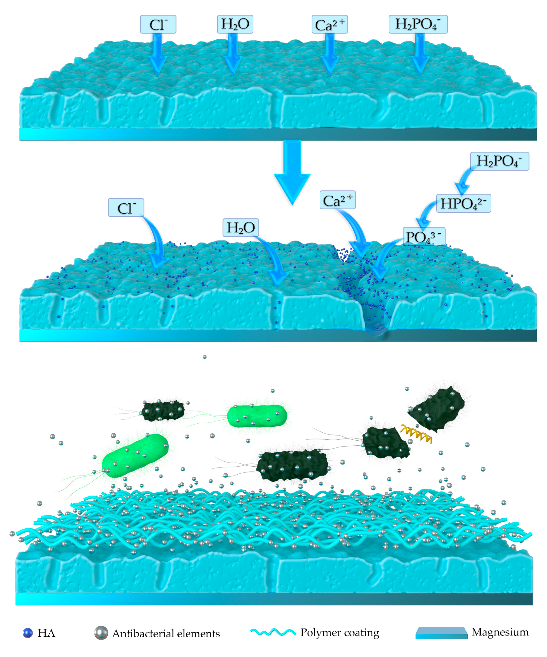 Coatings 10 00828 g003 Coatings 10 00828 g003