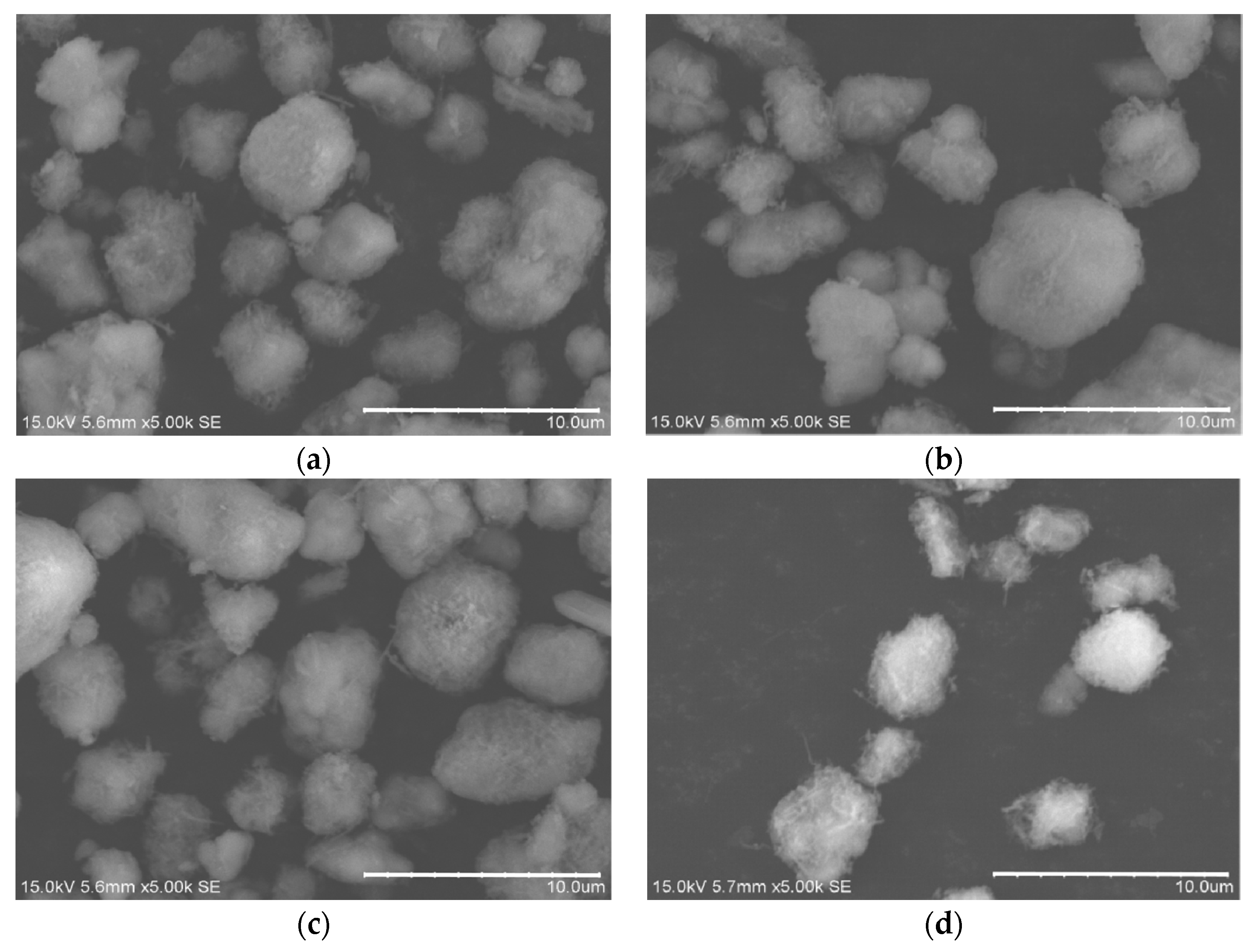 Coatings 10 00831 g003