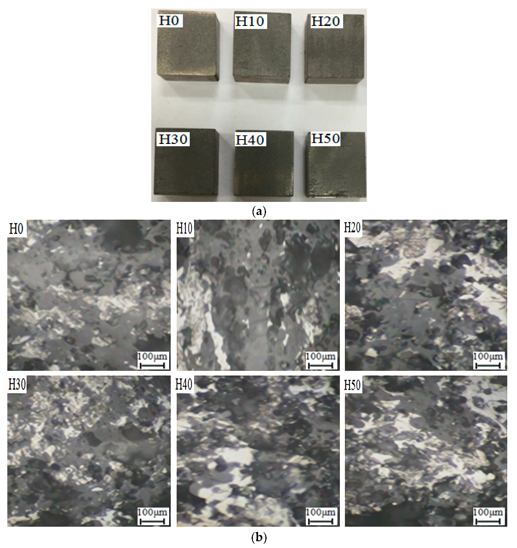 Coatings 10 00831 g008