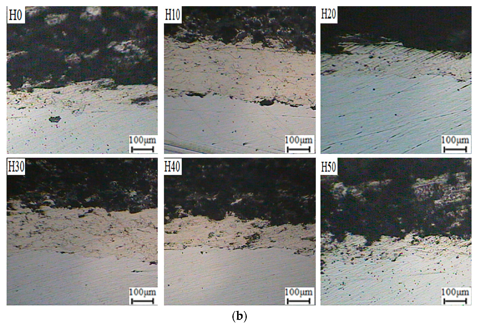 Coatings 10 00831 g009b