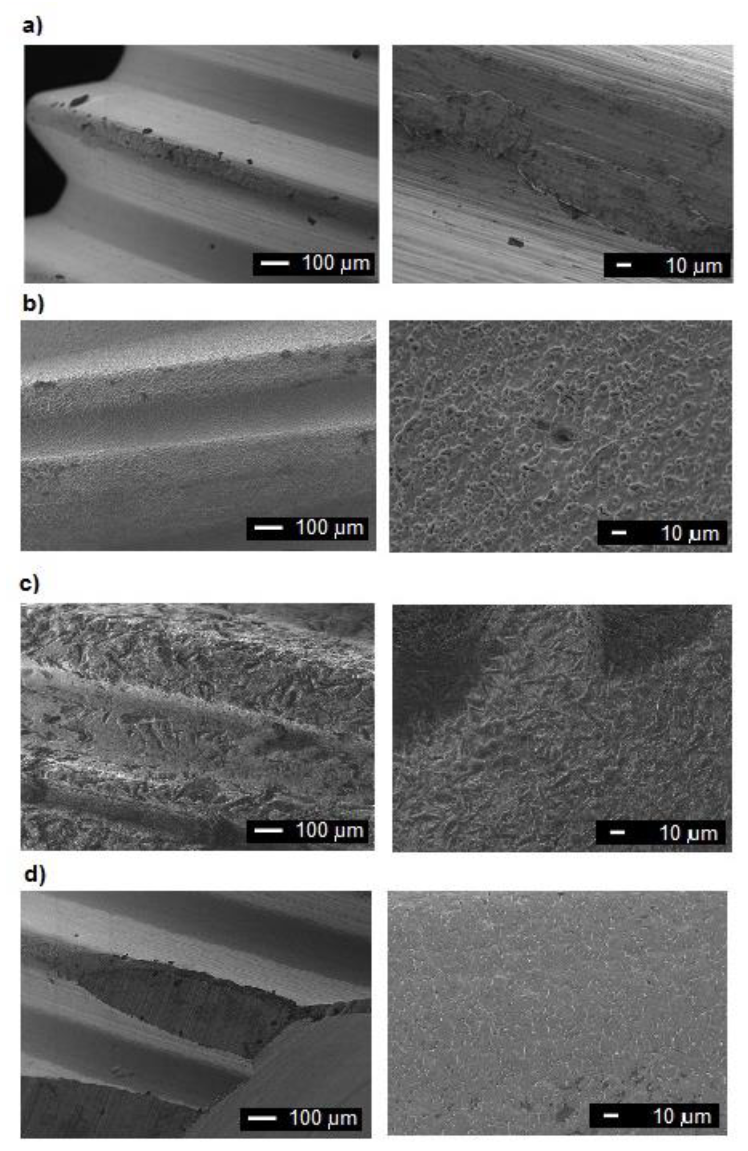 Coatings 10 00836 g002