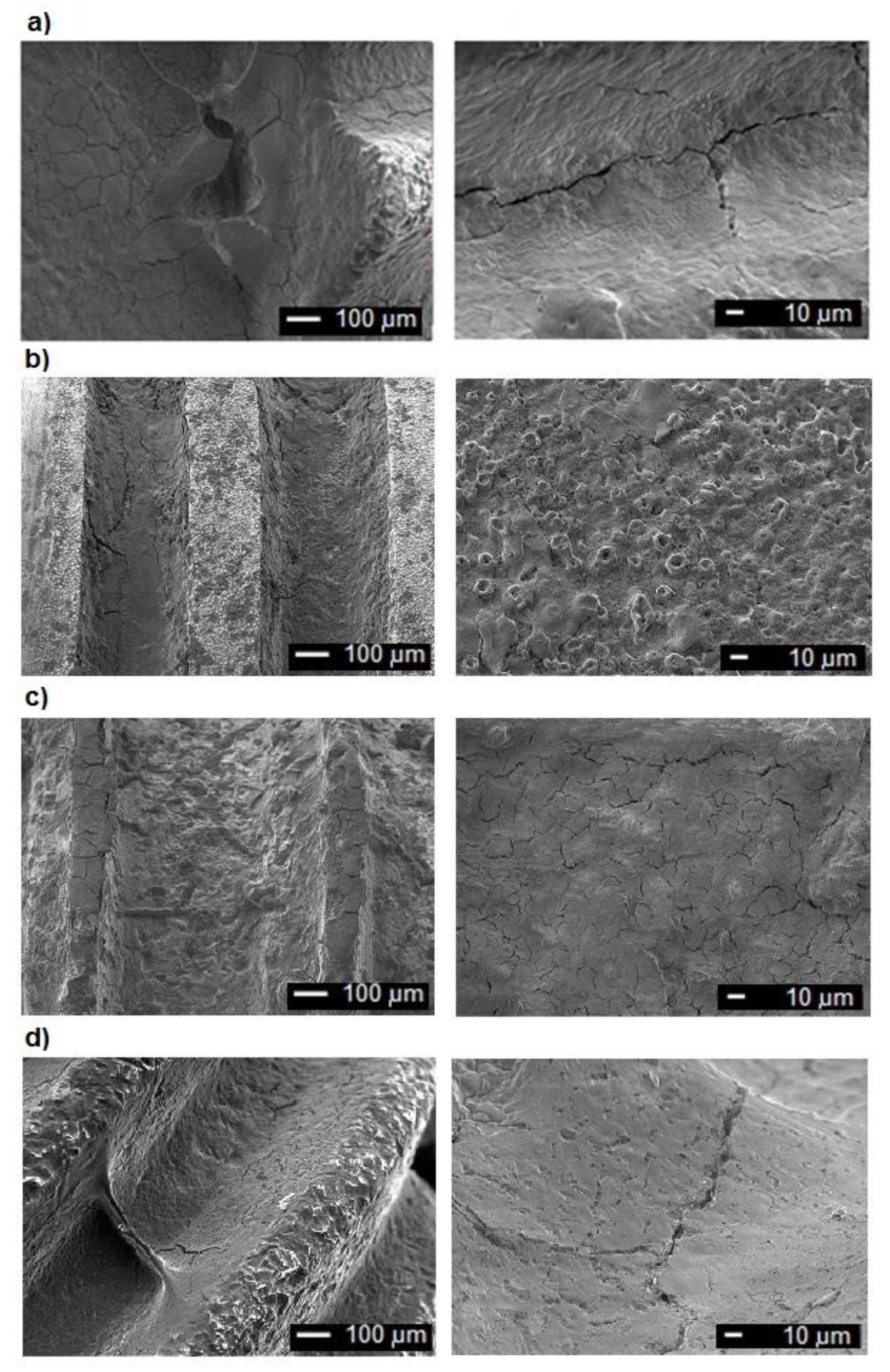 Coatings 10 00836 g003