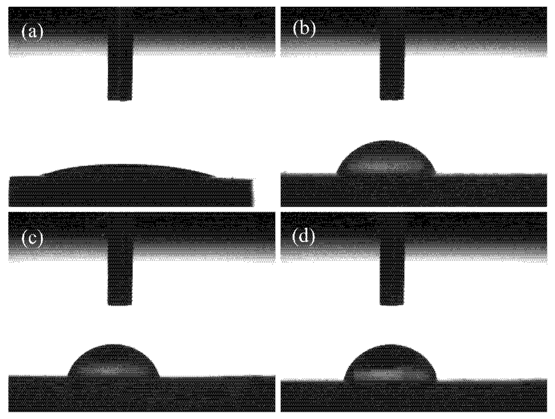 Coatings 10 00837 g004 Coatings 10 00837 g004