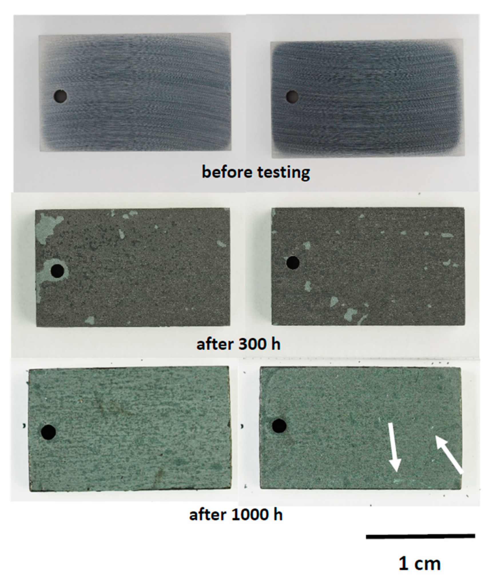 Coatings 10 00839 g006