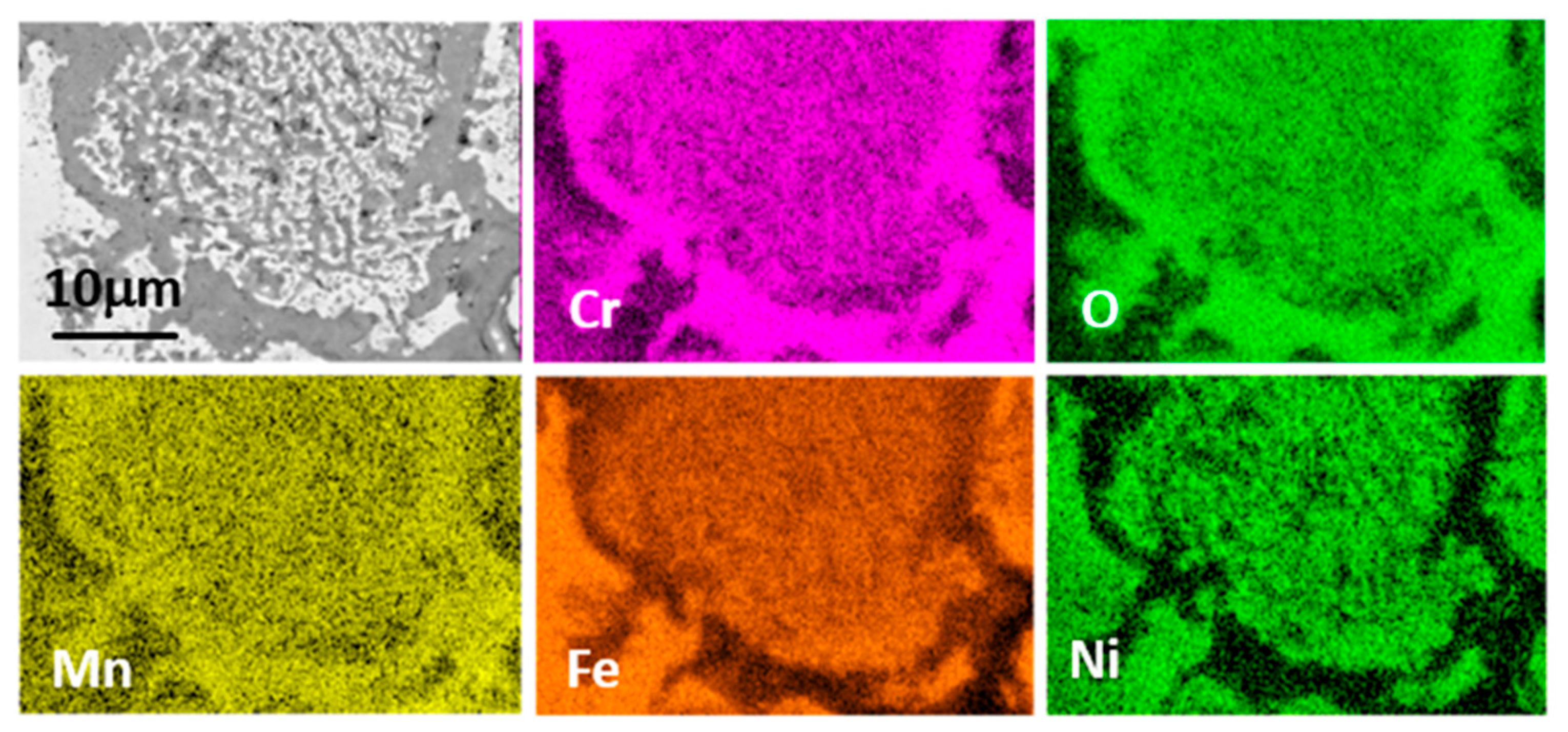 Coatings 10 00839 g011