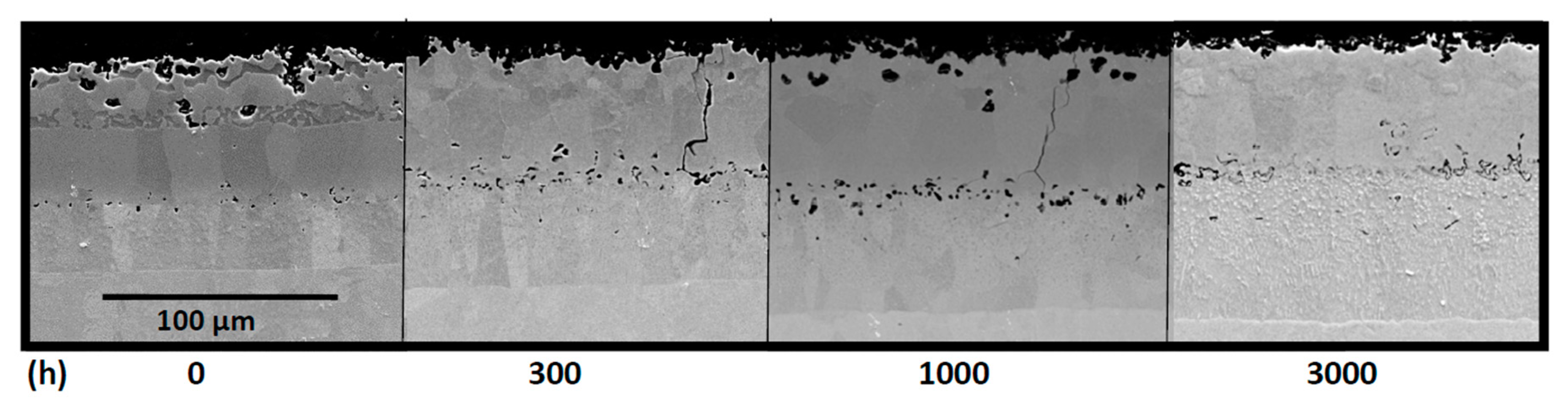 Coatings 10 00839 g013