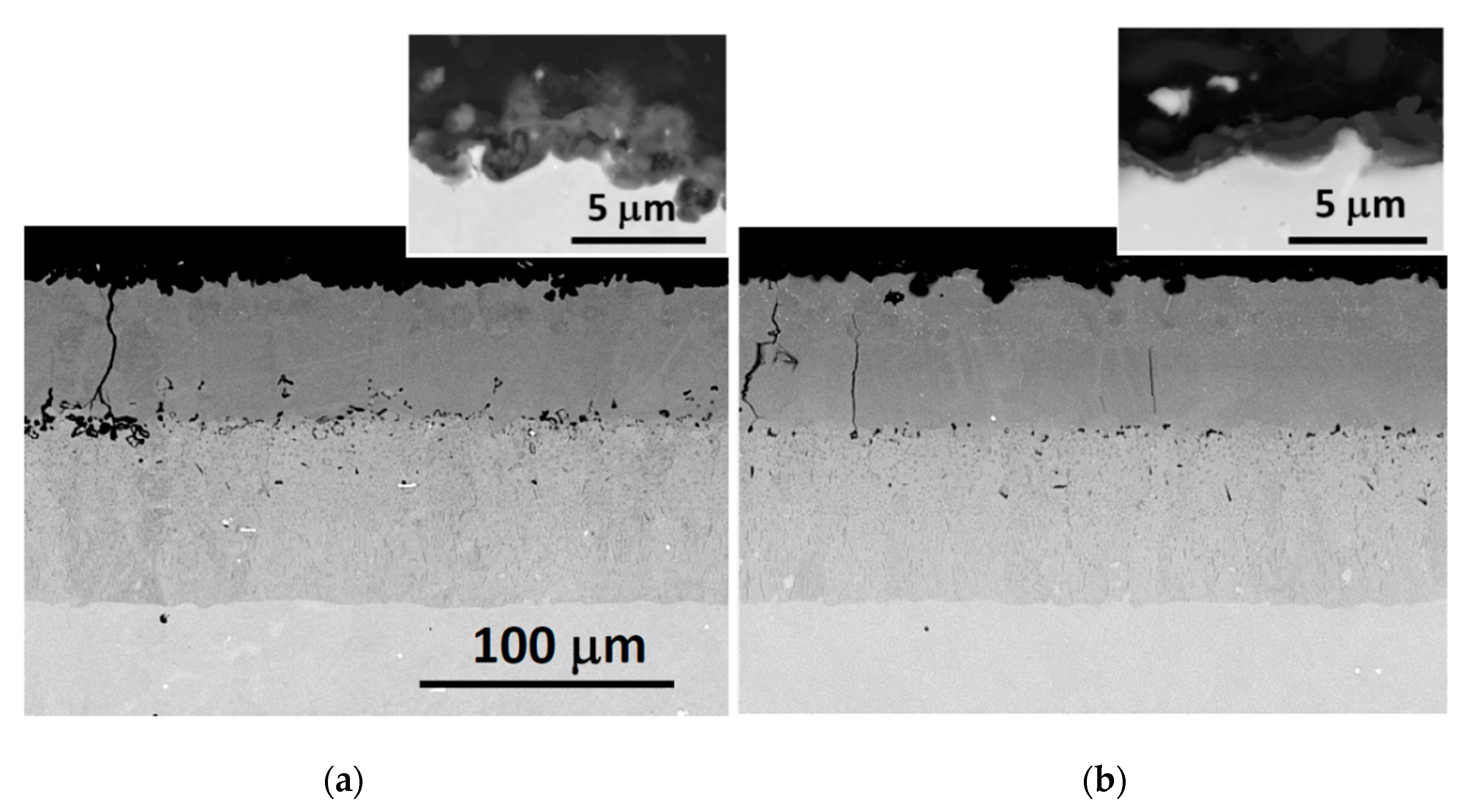 Coatings 10 00839 g014