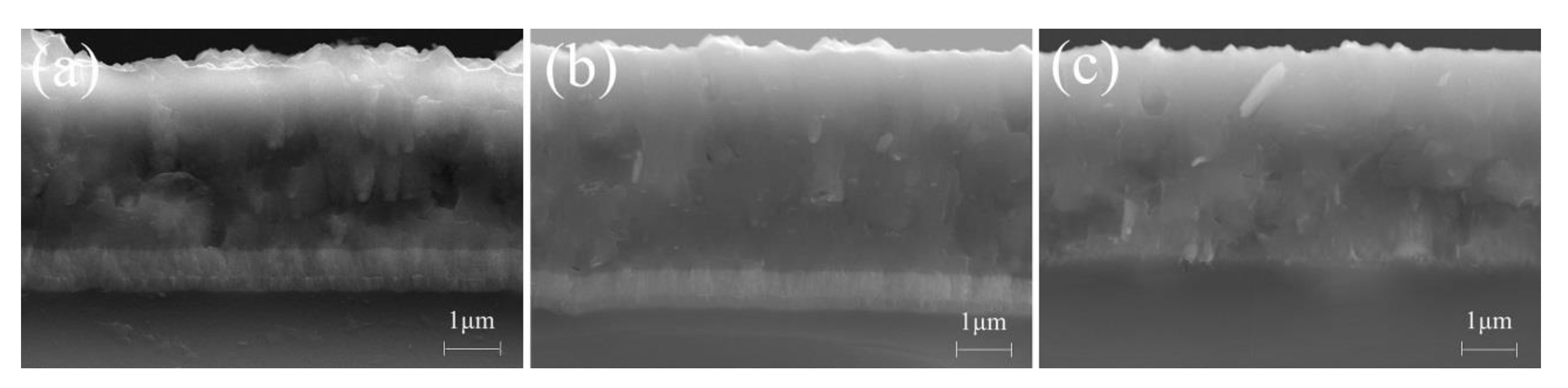 Coatings 10 00841 g004 Coatings 10 00841 g004