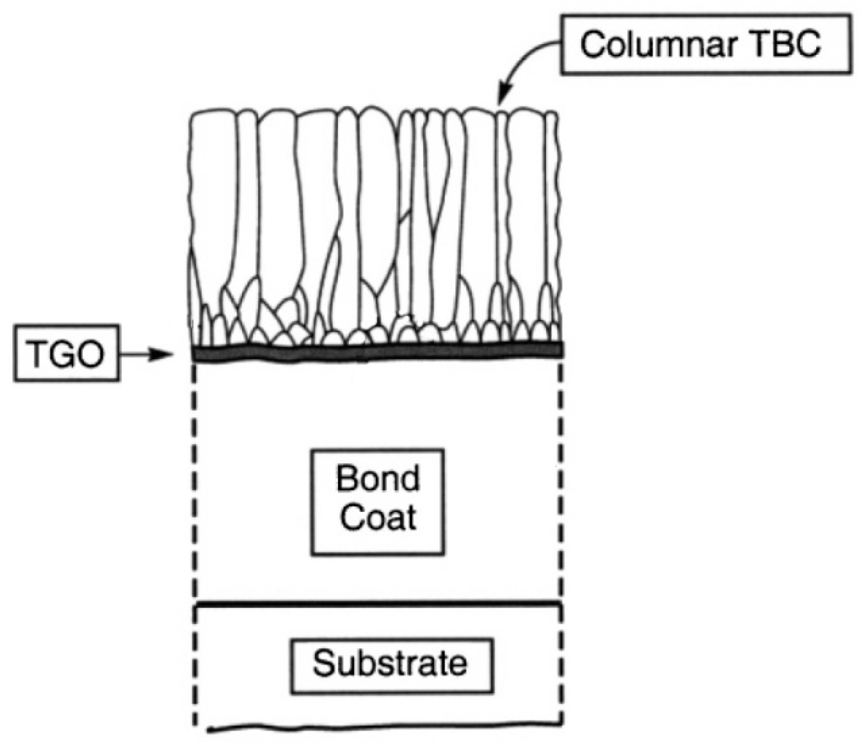 Coatings 10 00842 g001