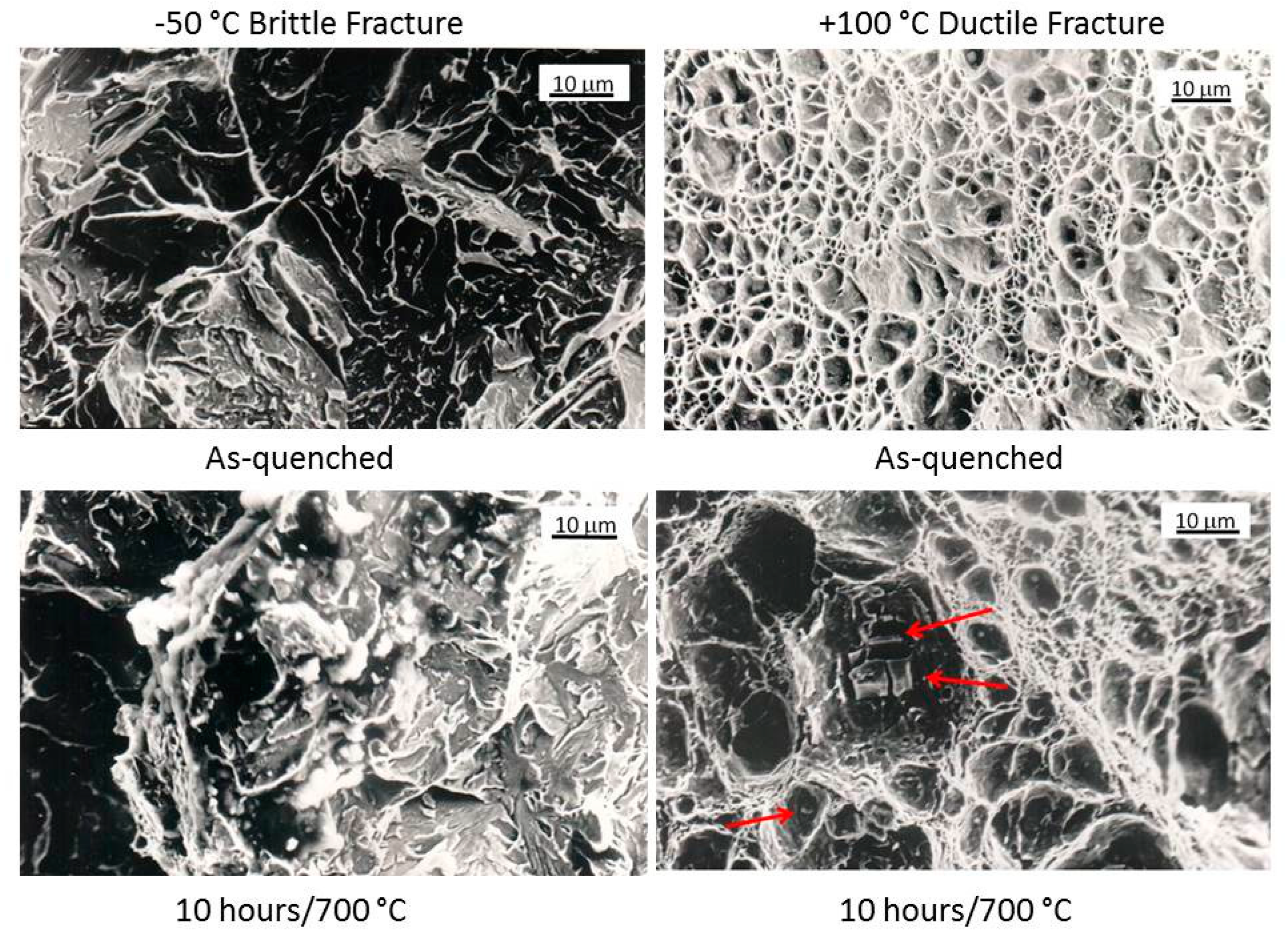 Coatings 10 00843 g005