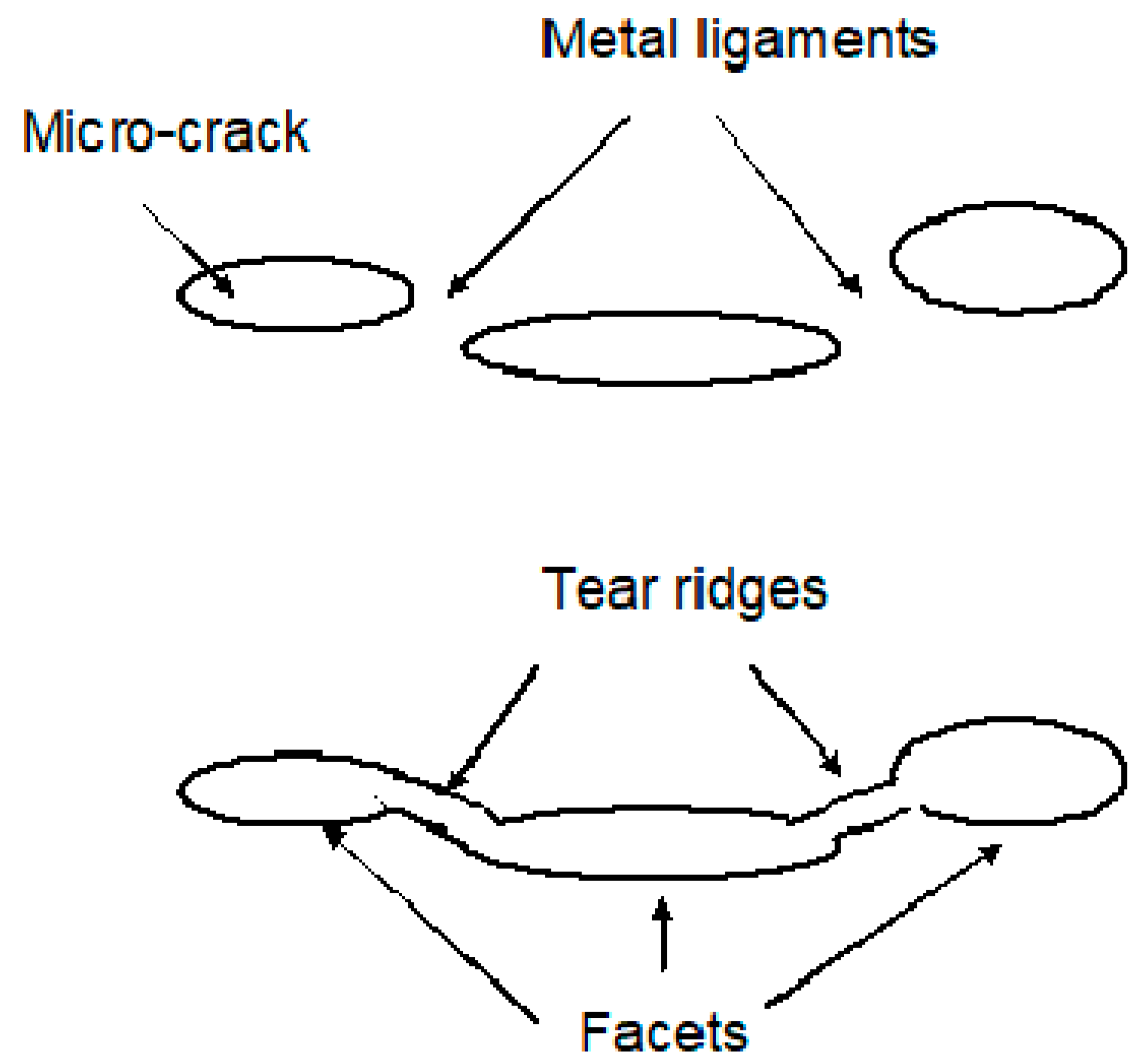 Coatings 10 00843 g006