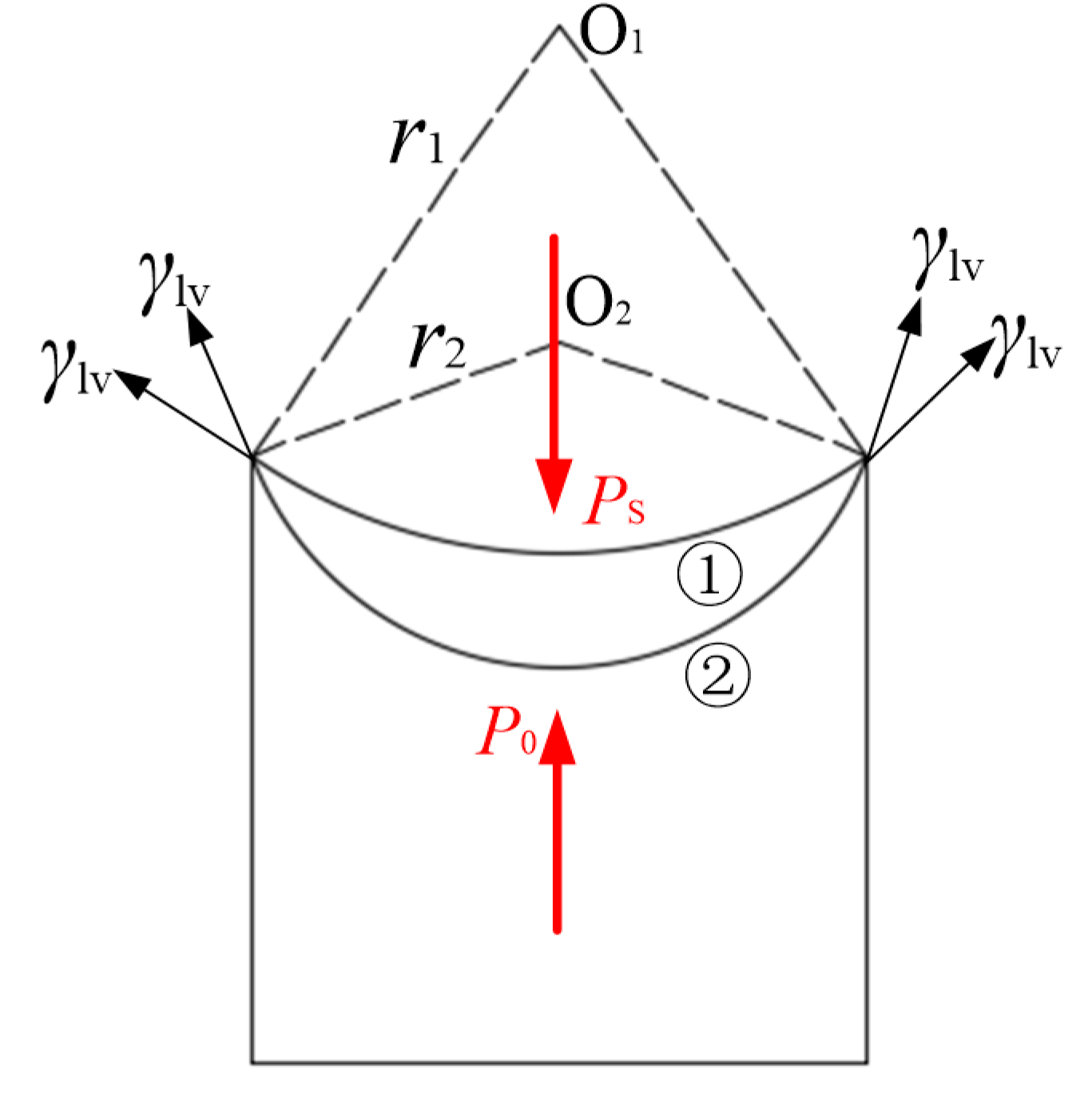 Coatings 10 00845 g004 Coatings 10 00845 g004