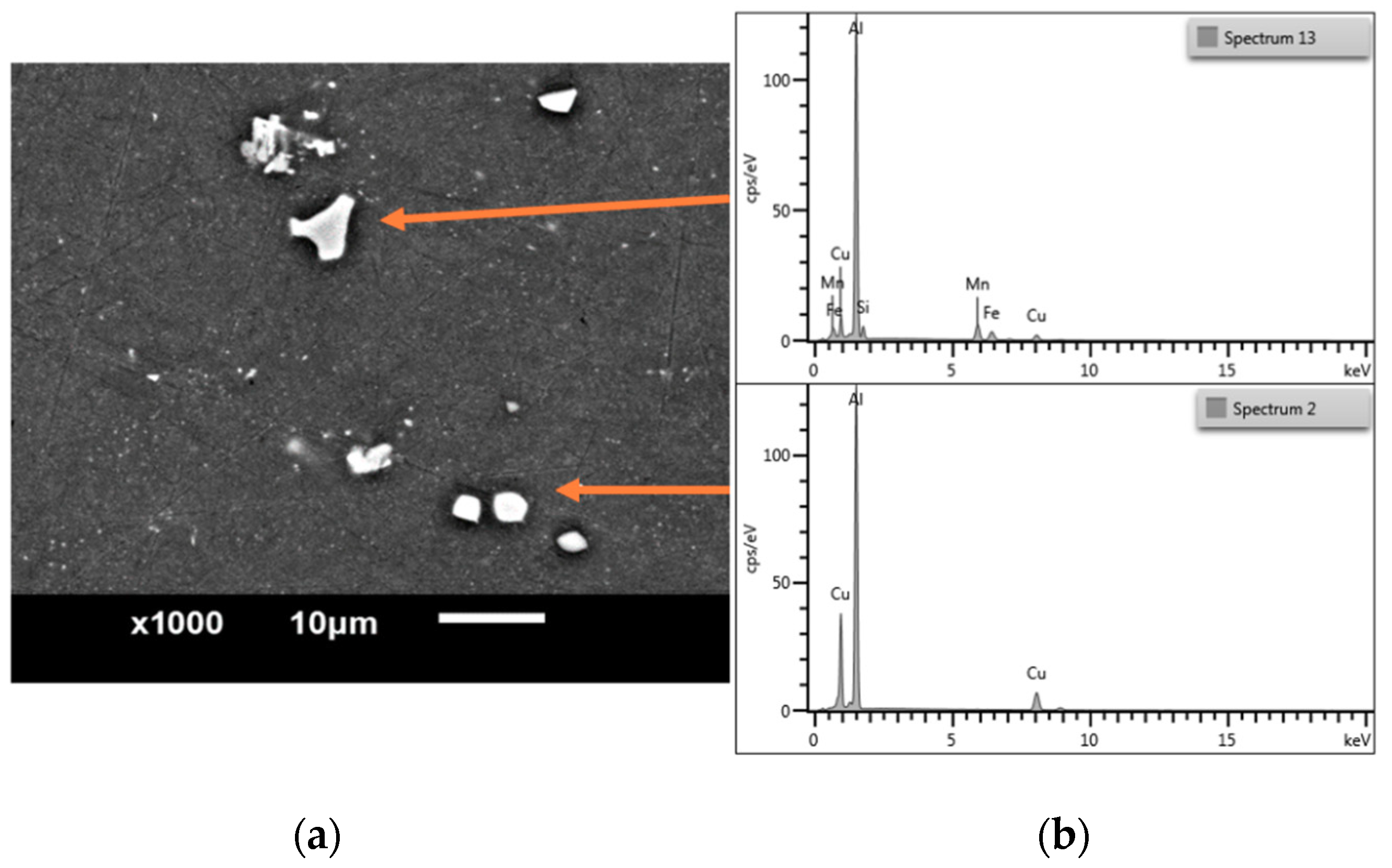 Coatings 10 00846 g001