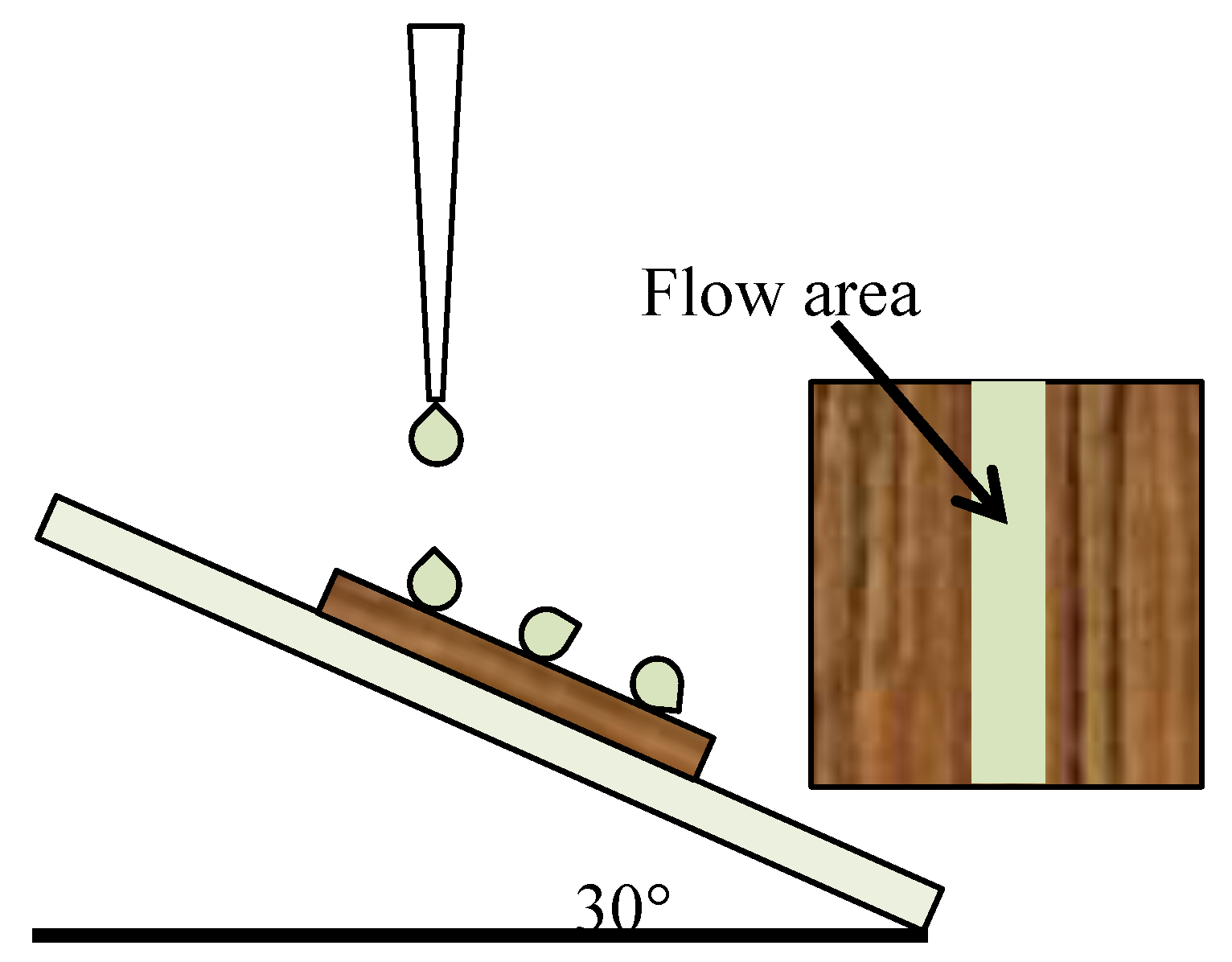 Coatings 10 00847 g001