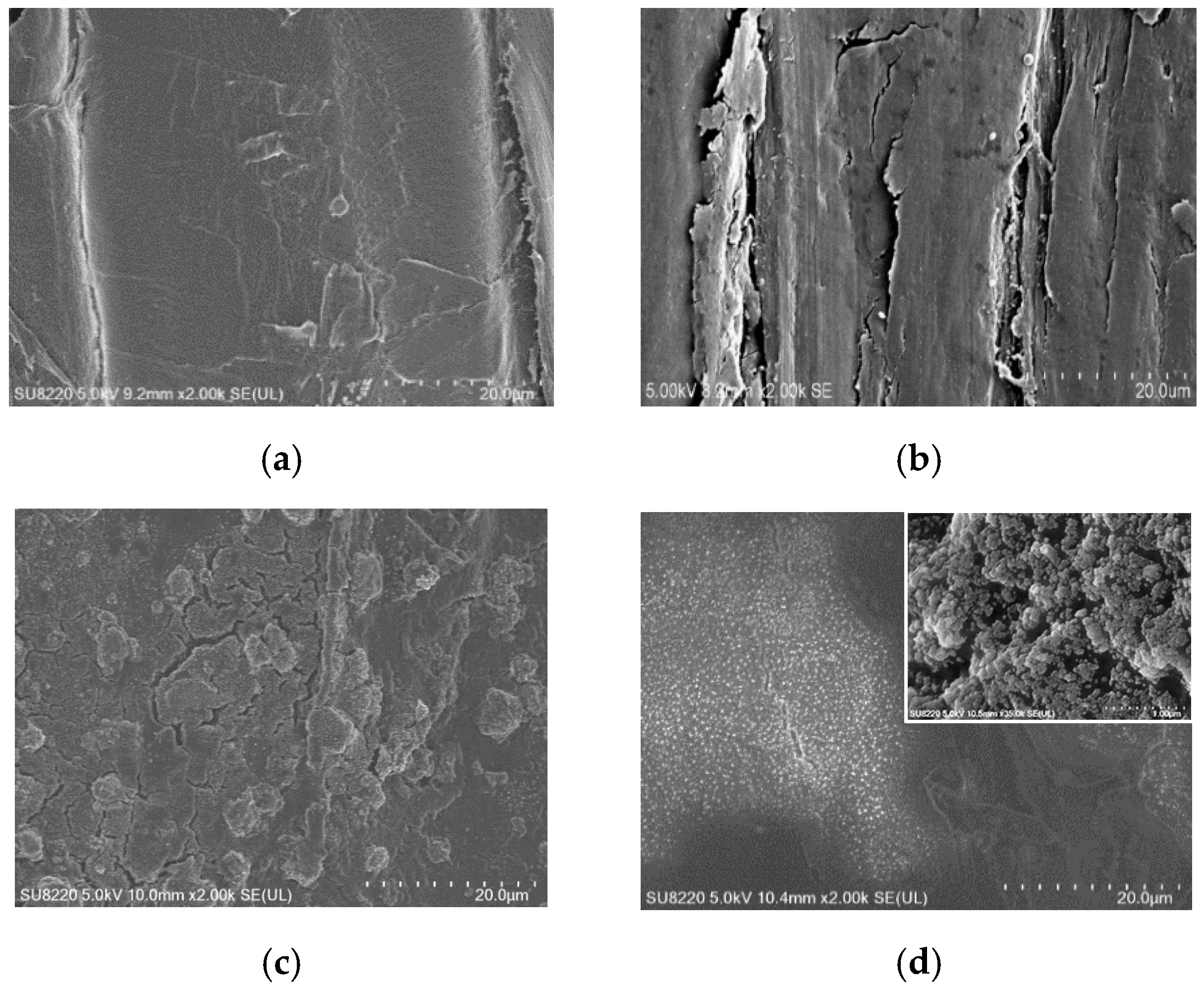 Coatings 10 00847 g005