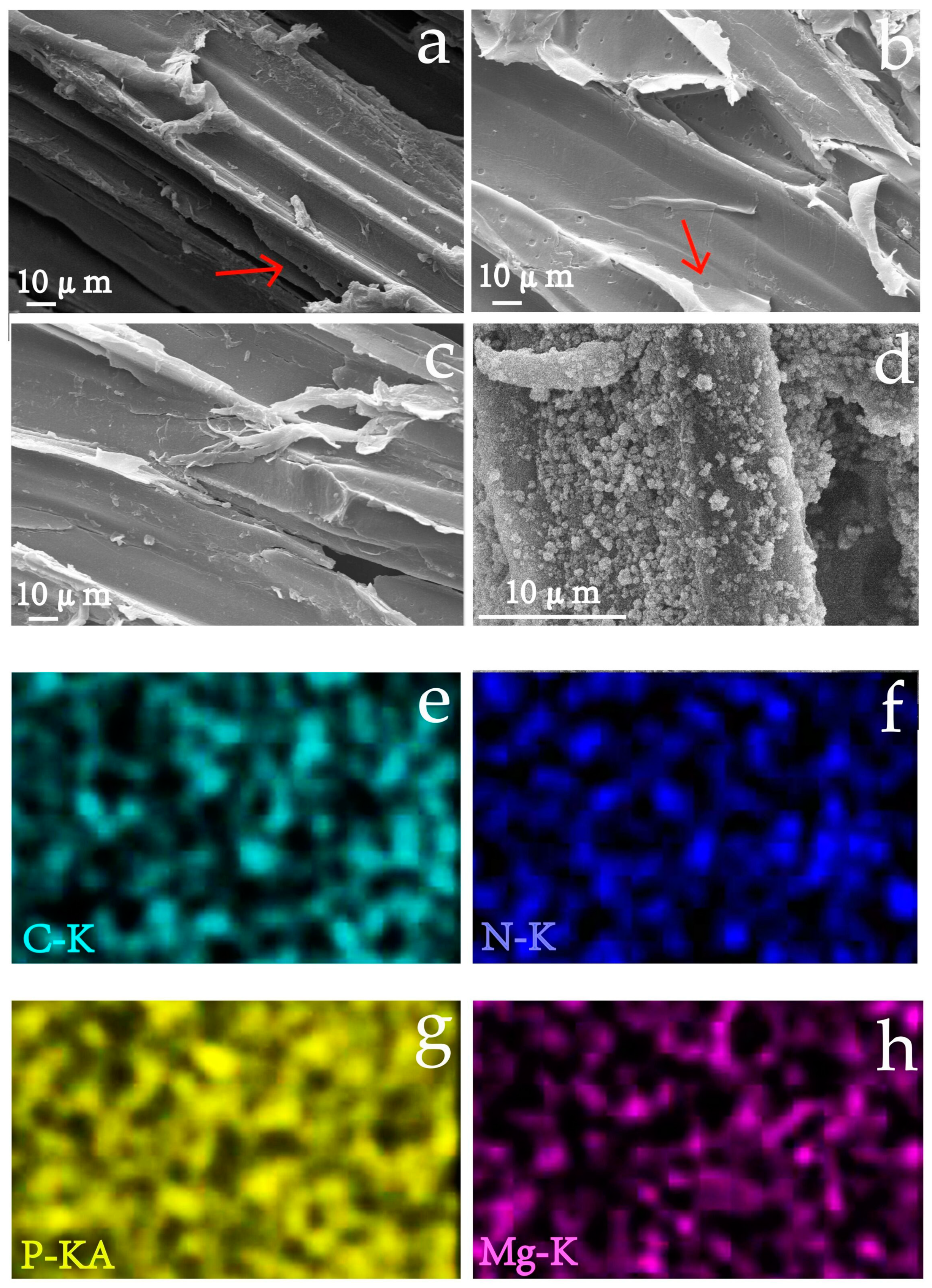 Coatings 10 00848 g002