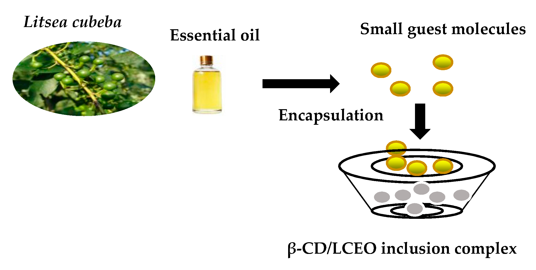 Coatings 10 00850 g001 Coatings 10 00850 g001
