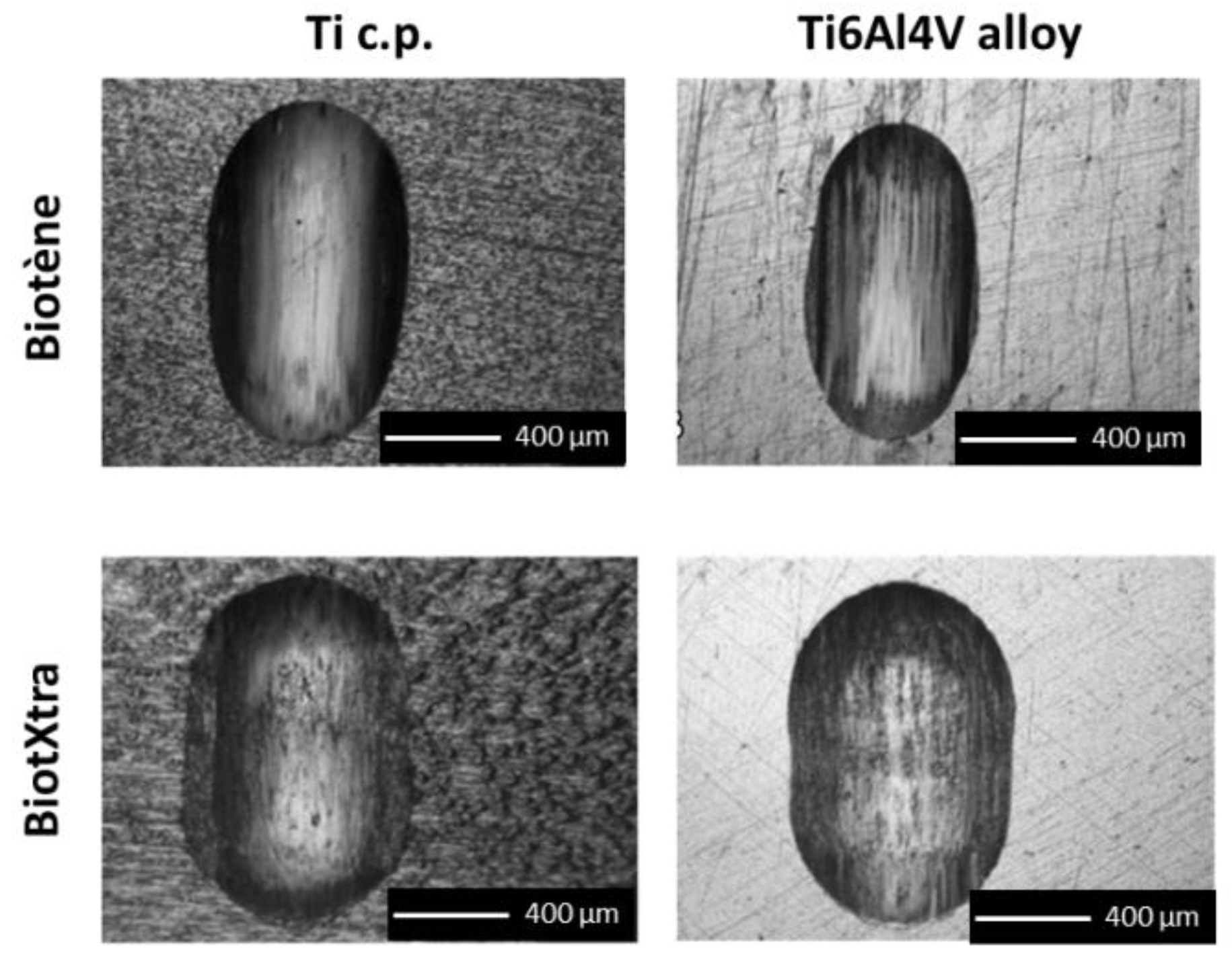 Coatings 10 00851 g002