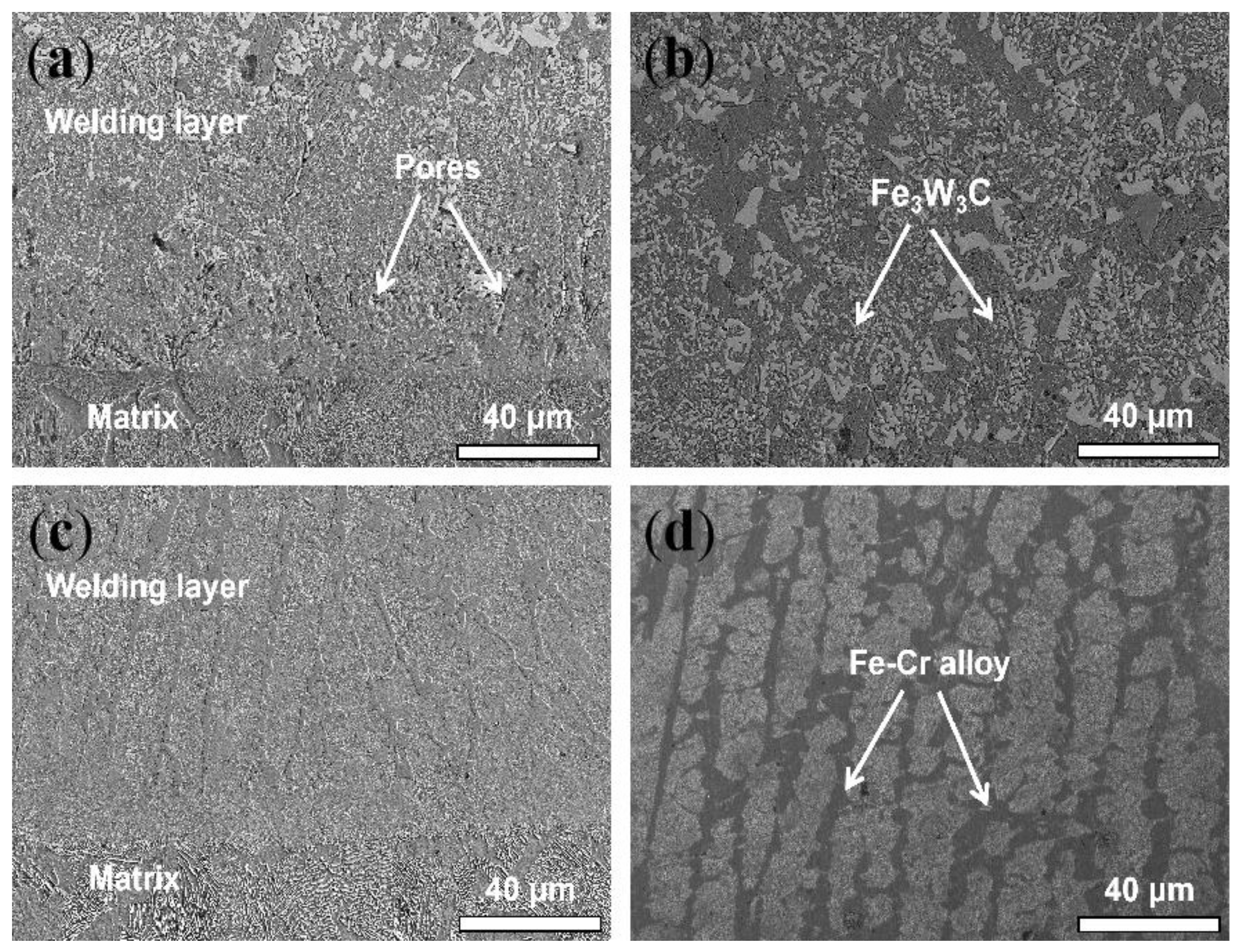 Coatings 10 00852 g003