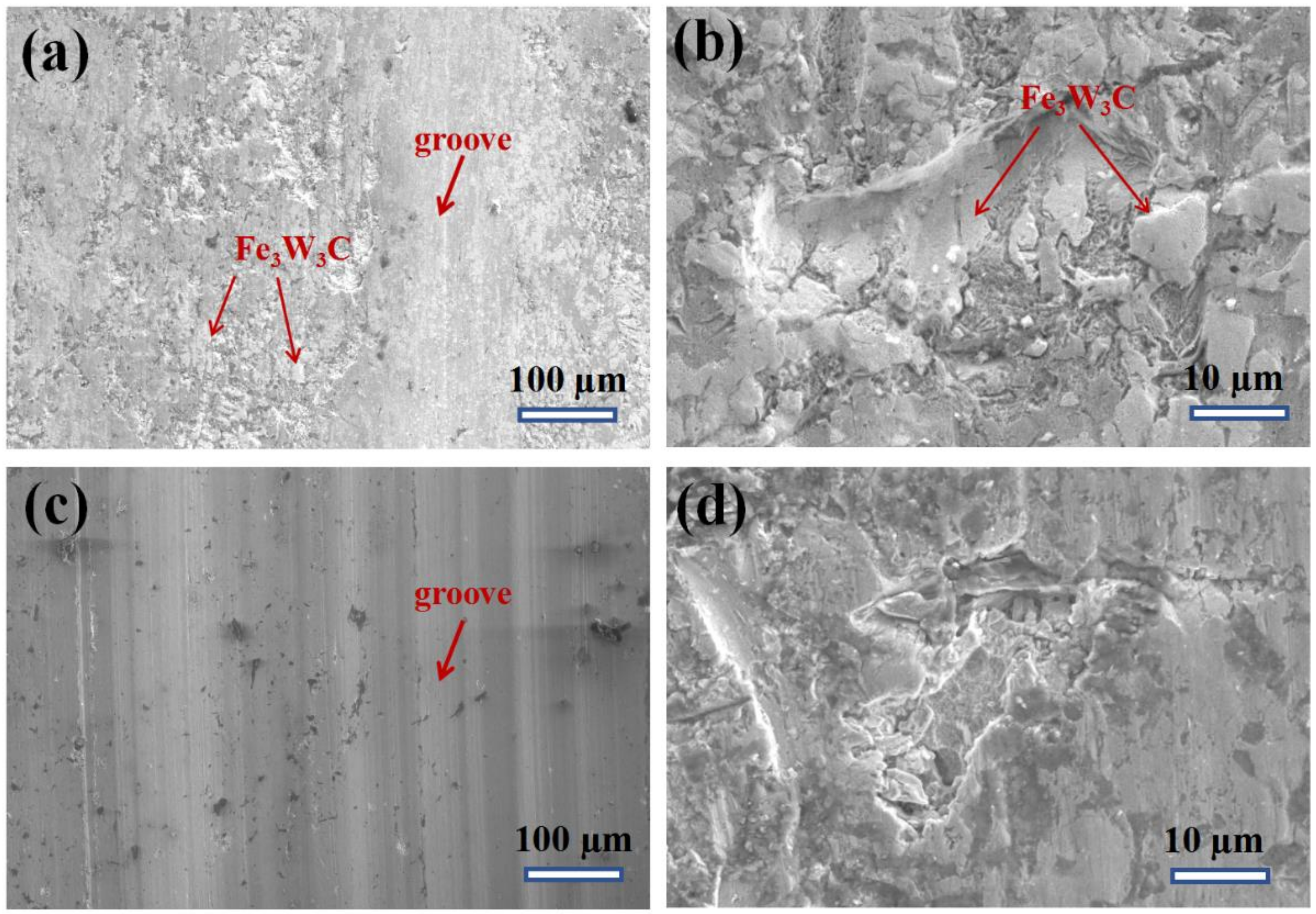 Coatings 10 00852 g006
