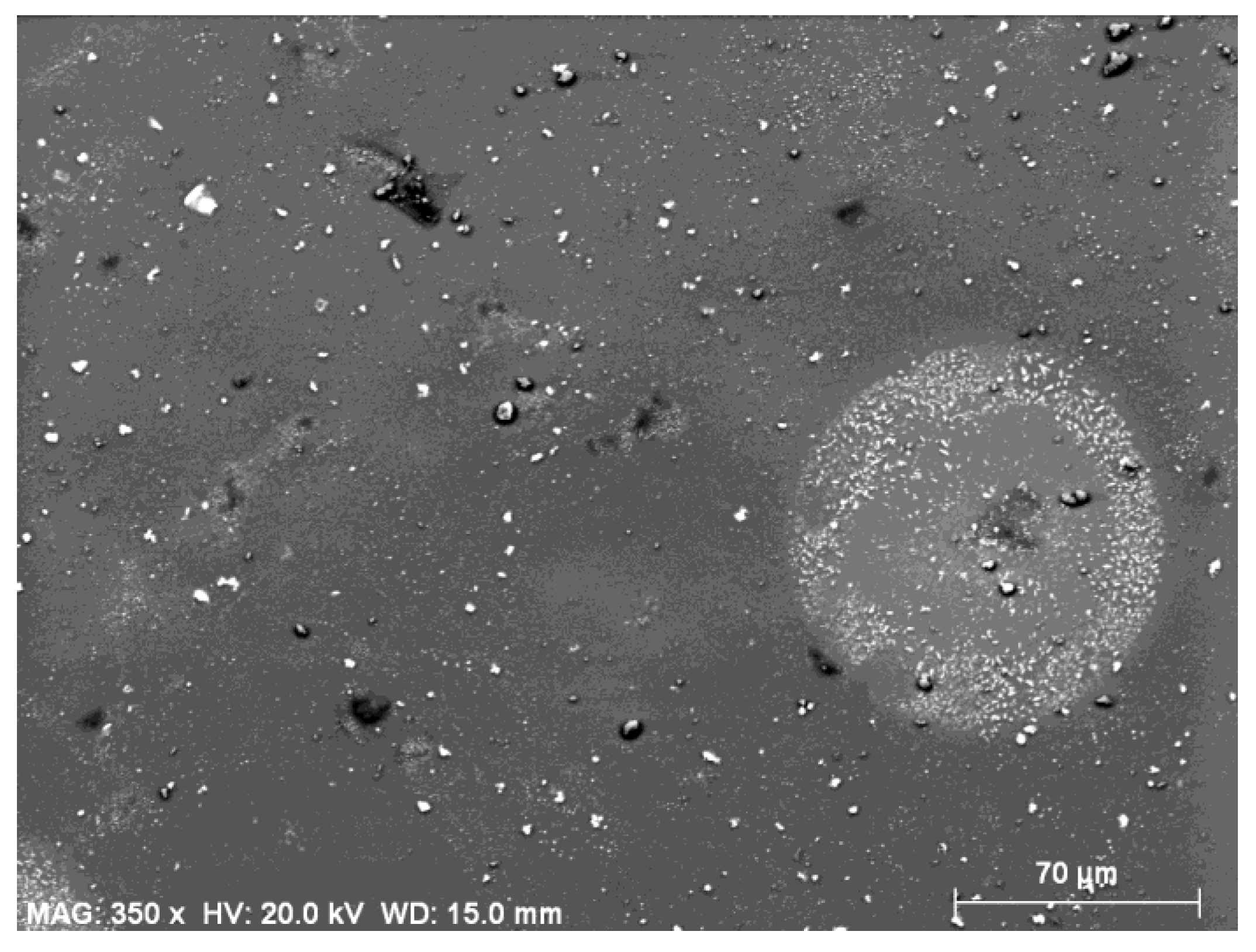 Coatings 10 00854 g007 Coatings 10 00854 g007