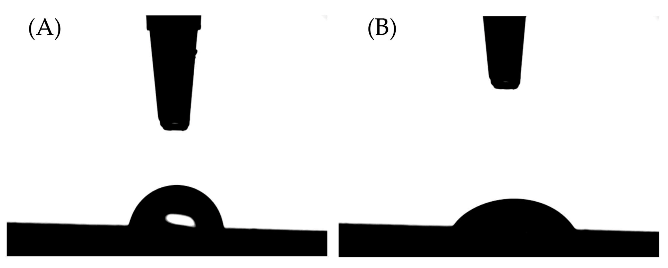 Coatings 10 00856 g002