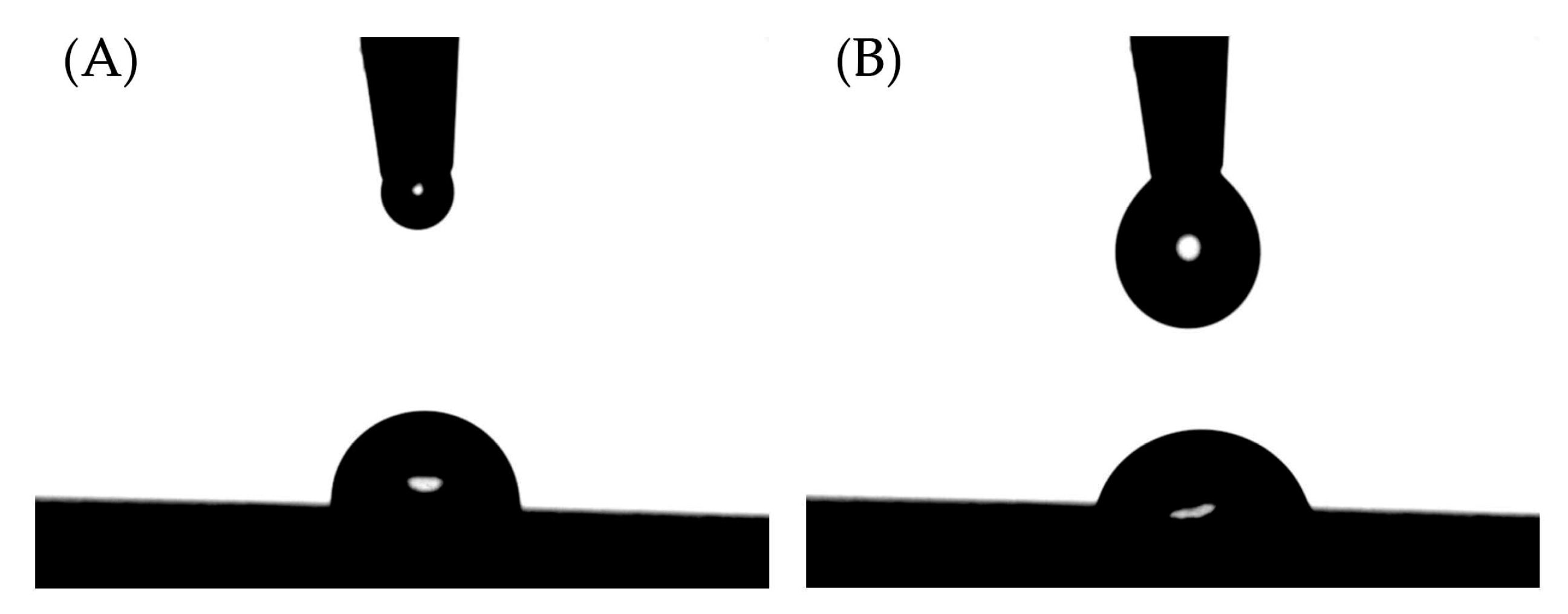 Coatings 10 00856 g003