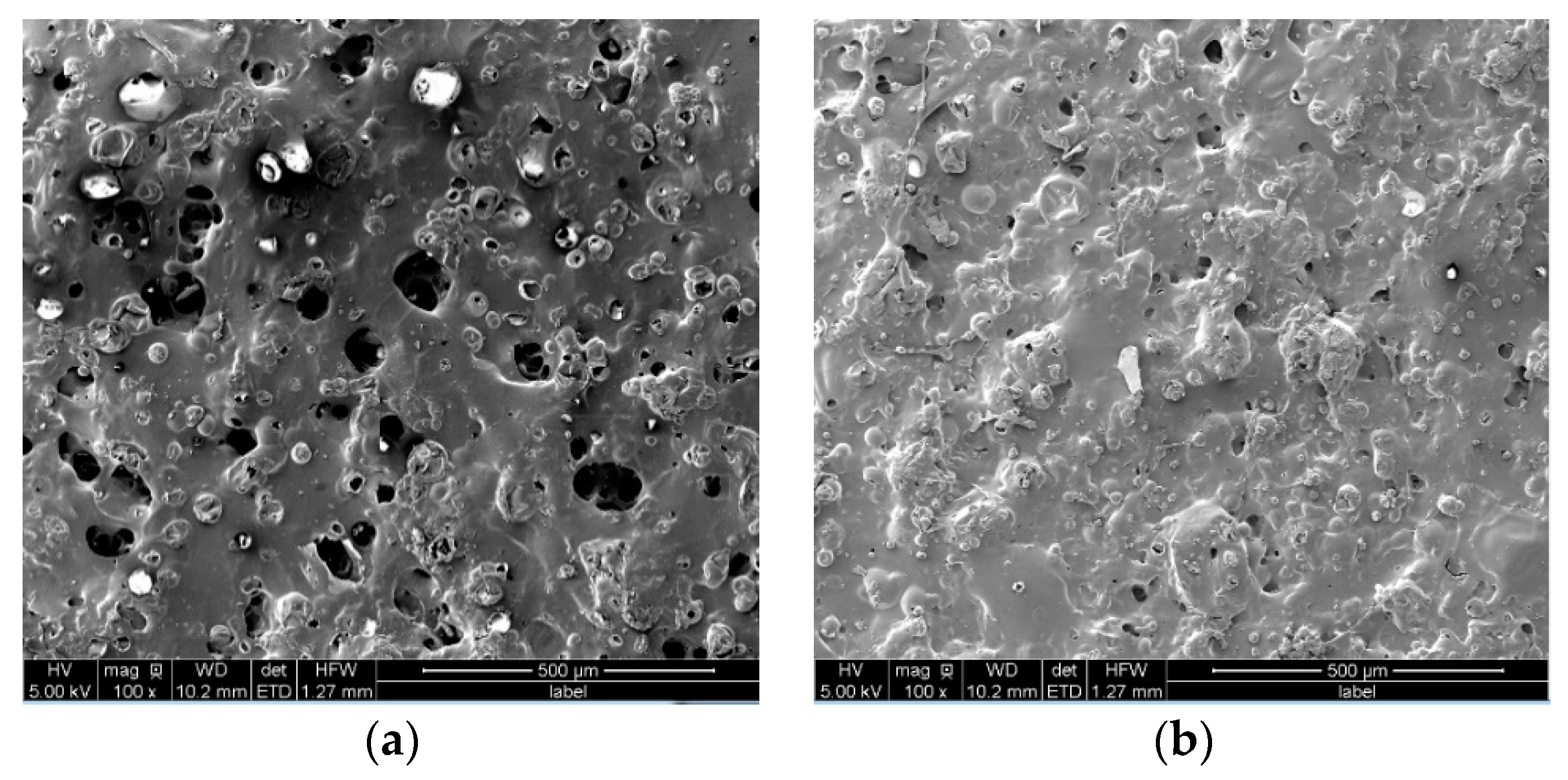 Coatings 10 00857 g001 Coatings 10 00857 g001
