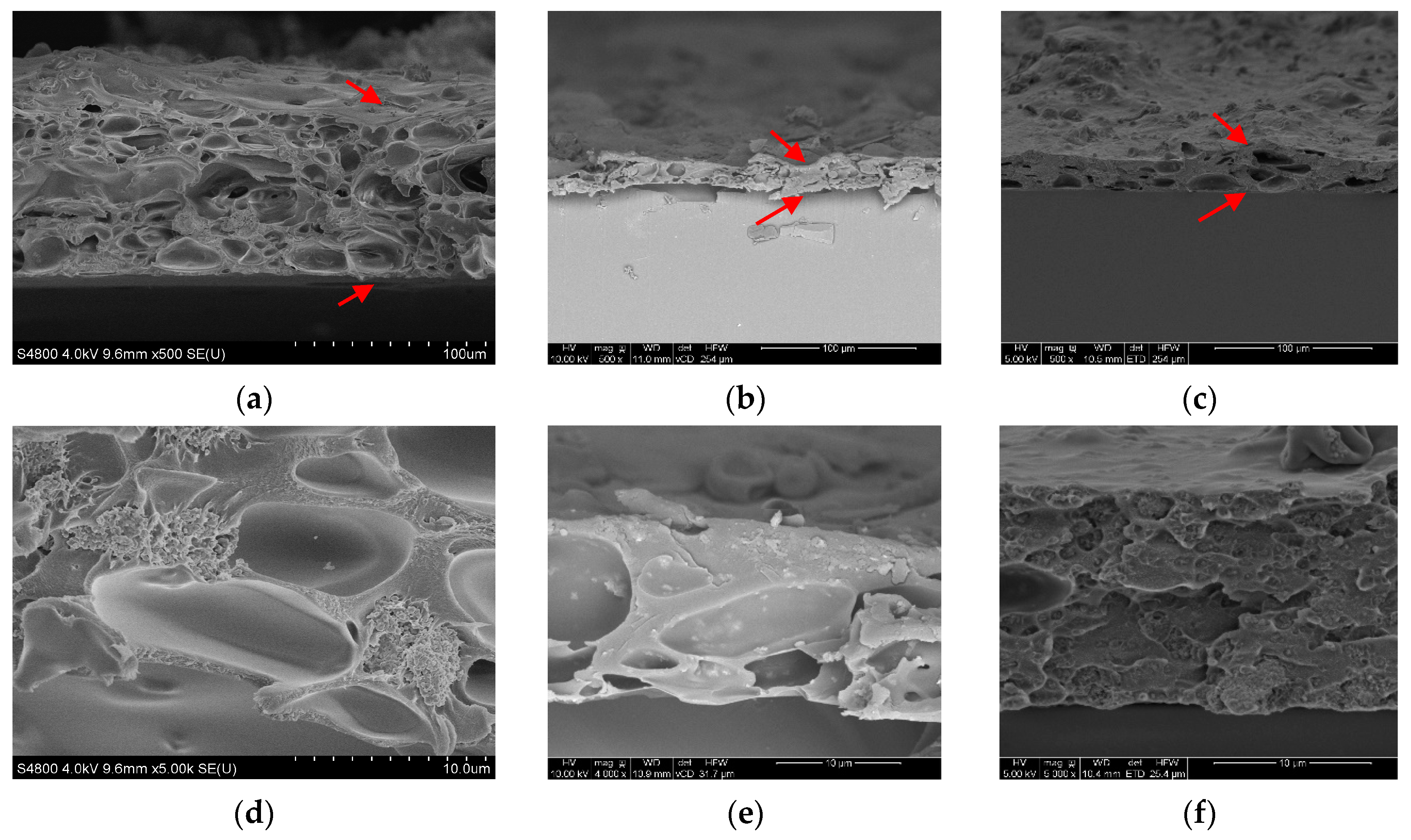 Coatings 10 00857 g005 Coatings 10 00857 g005