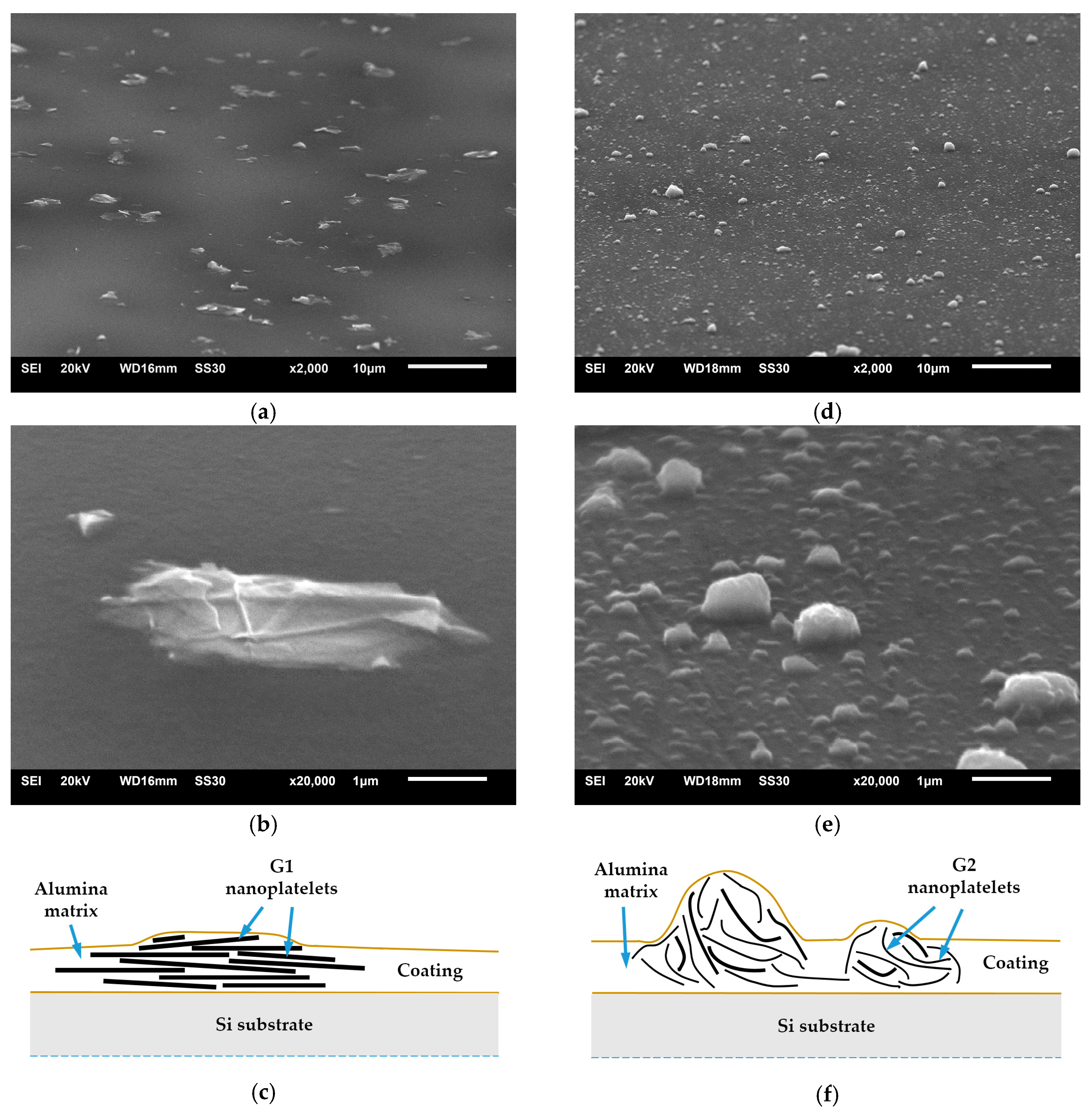 Coatings 10 00858 g002