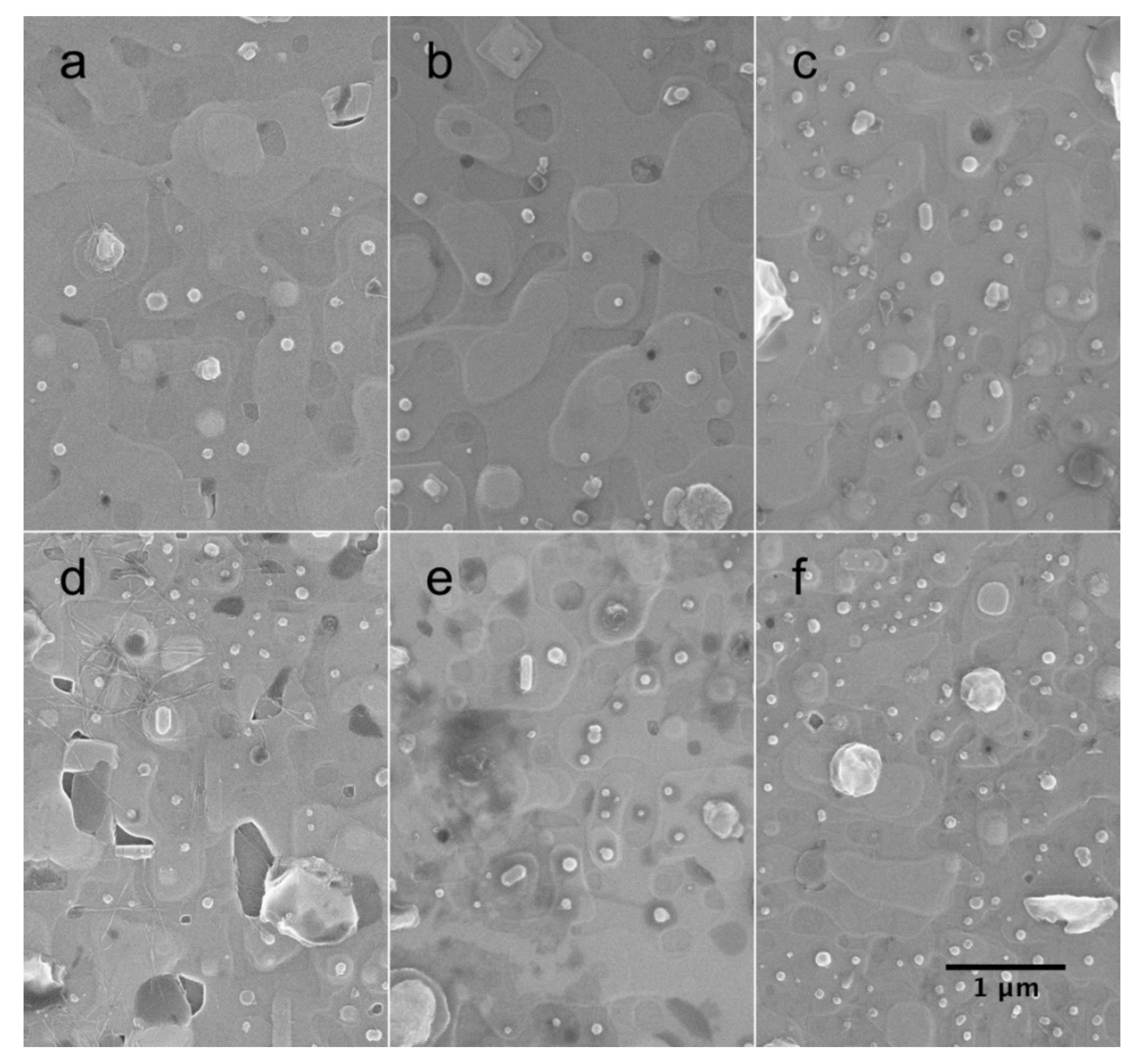 Coatings 10 00860 g005 Coatings 10 00860 g005